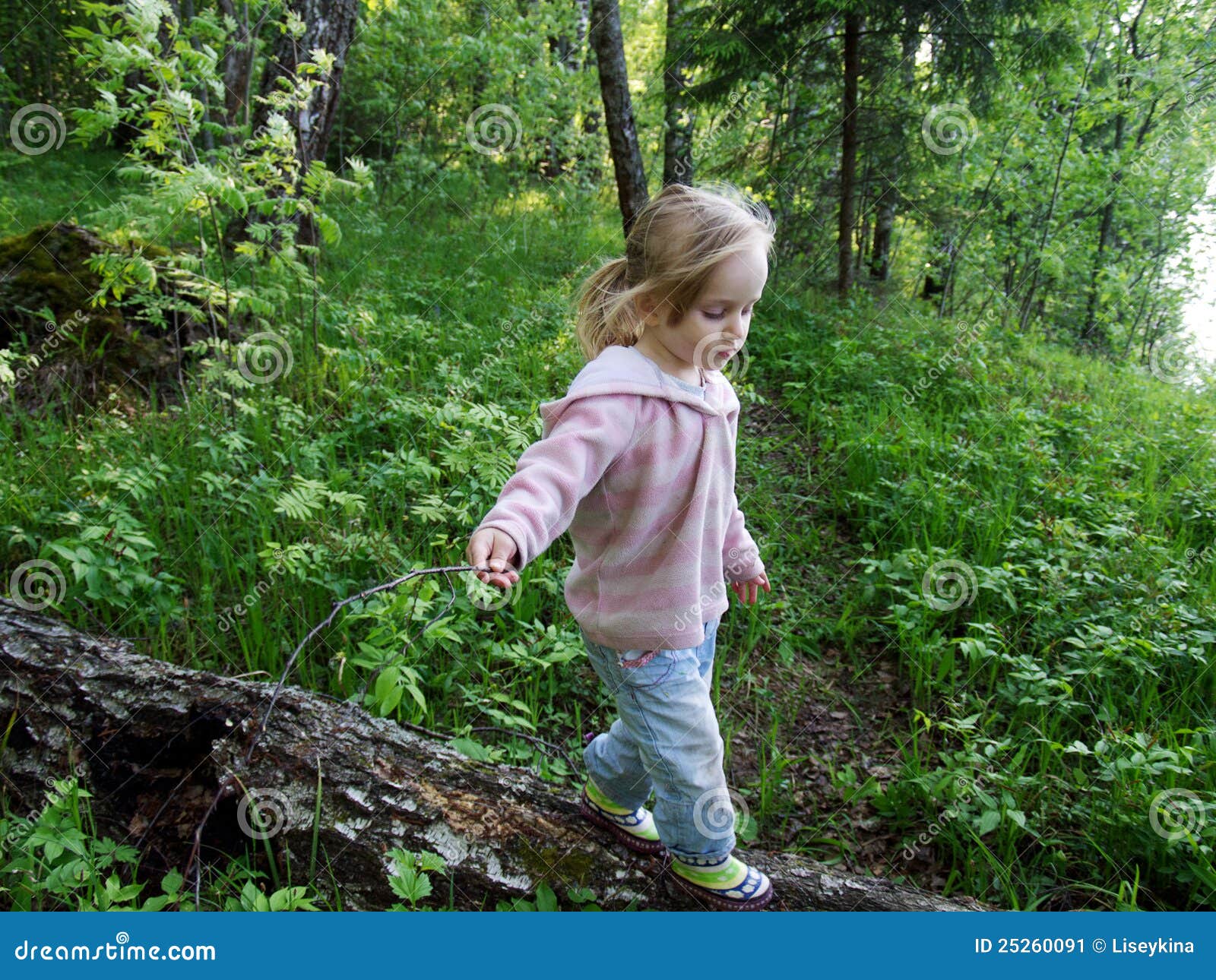 Baby Girl Walking in Forest Stock Image Image of happiness, cute