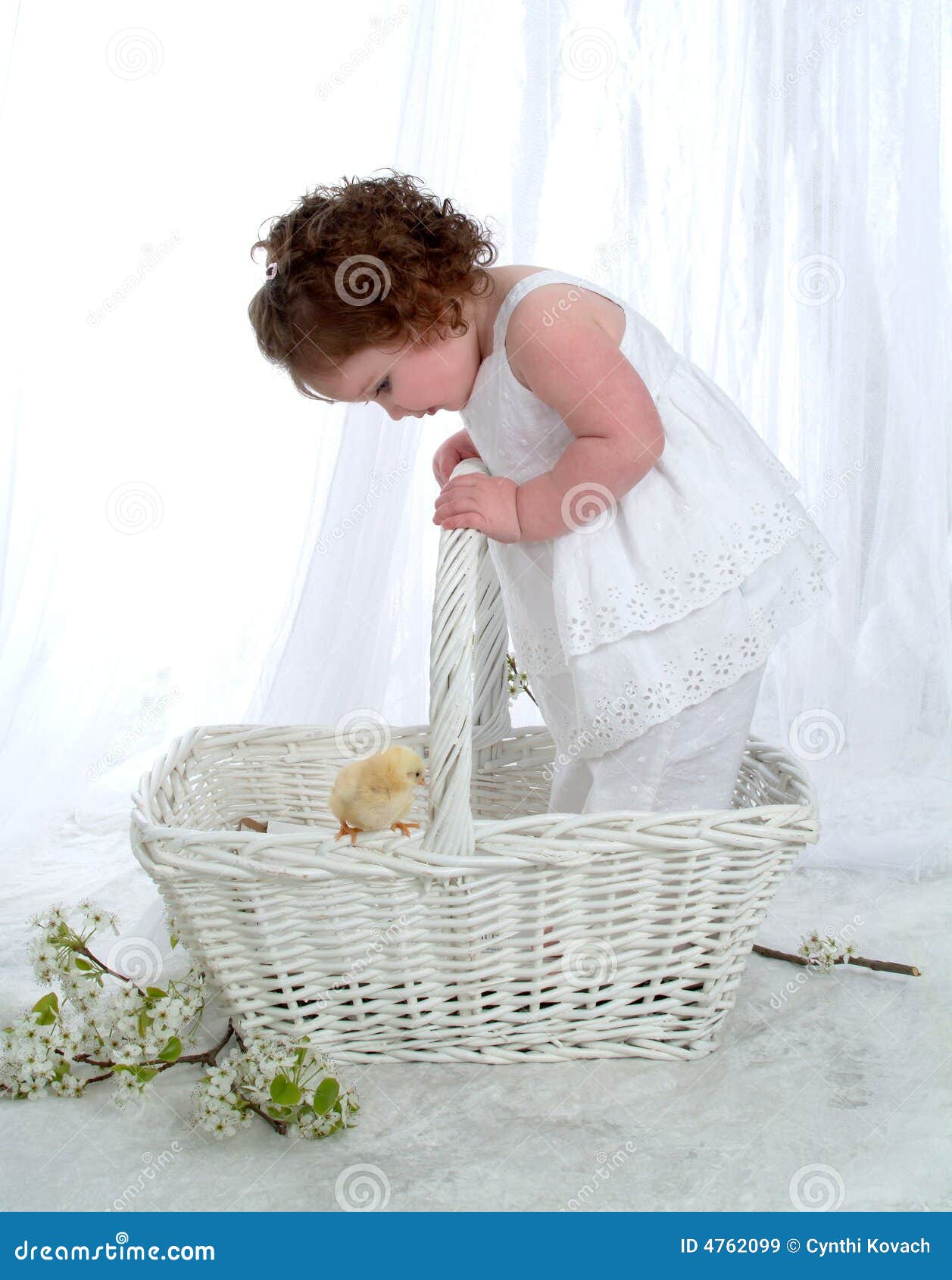 Baby Girl in Wicker Basket stock image. Image of curious 4762099