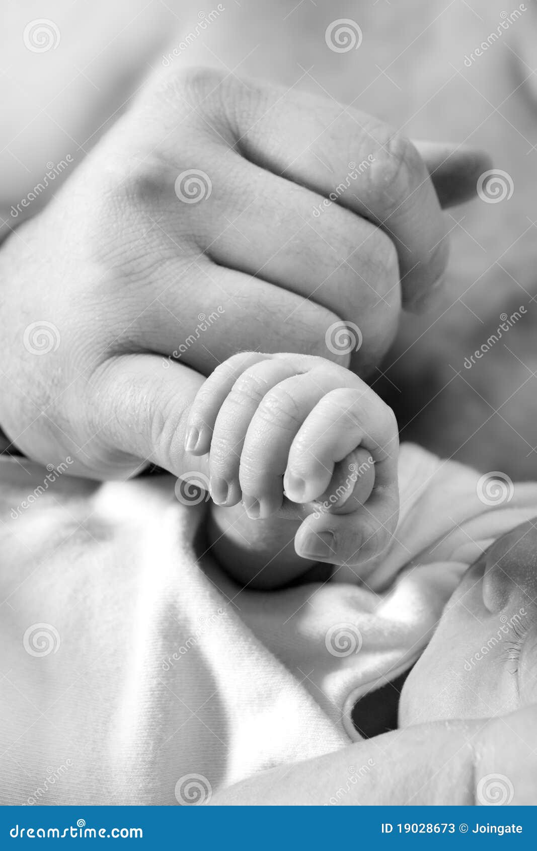 Baby Grabbing Fathers Finger Stock Image Image of male, baby 19028673