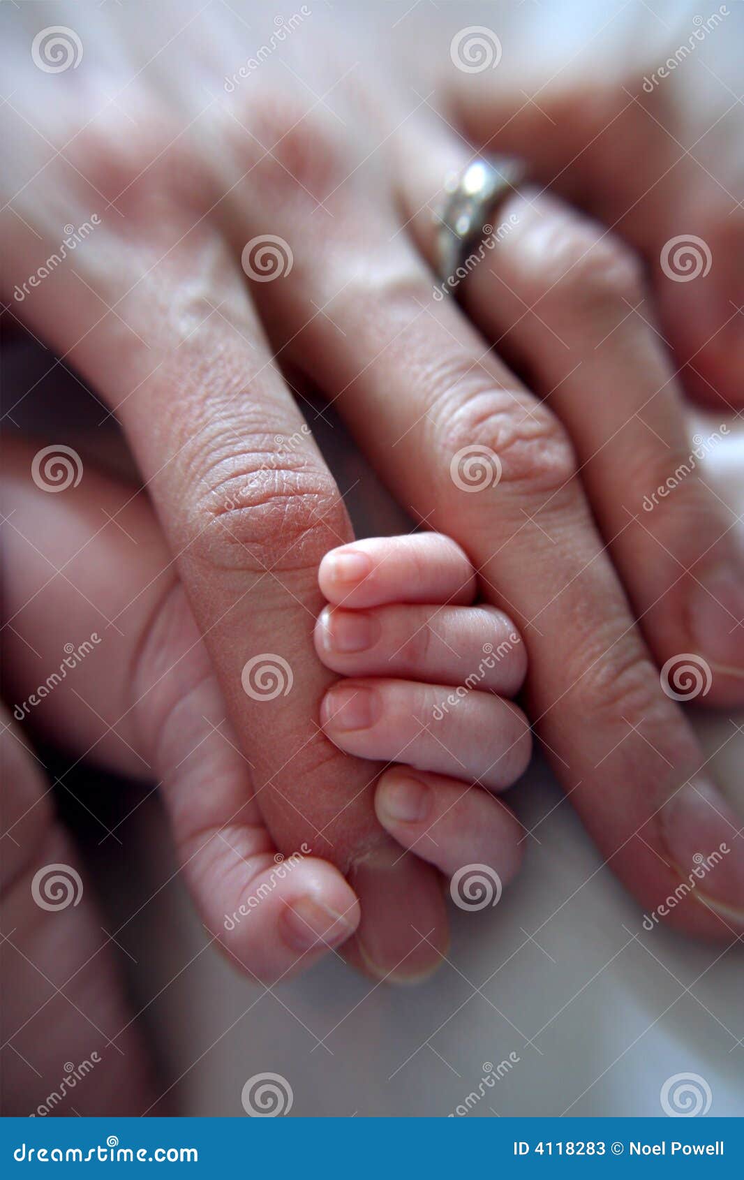 Baby Grasping Finger Stock Photos - Image: 4118283