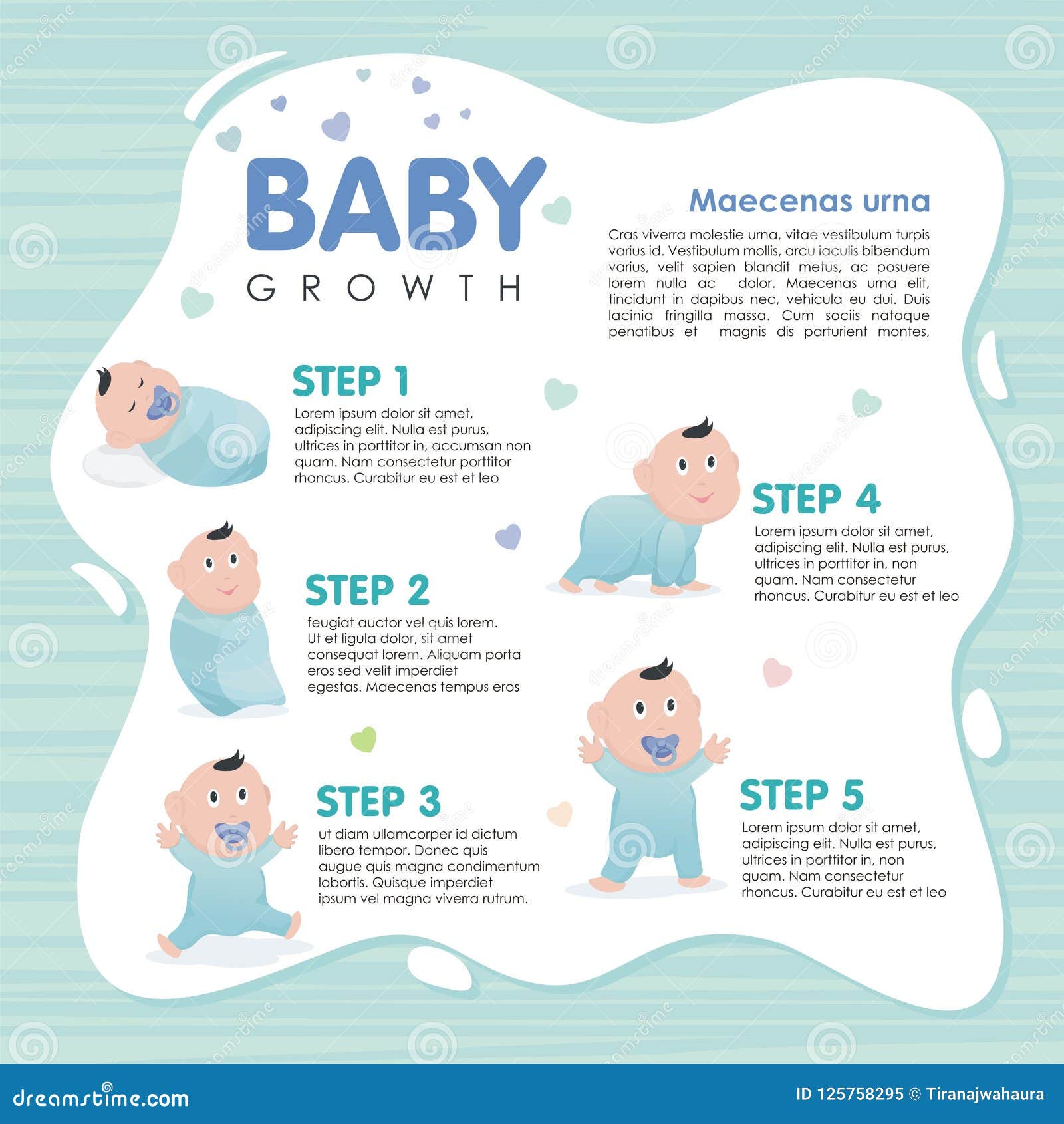 Baby growing up infographic Royalty Free Vector Image