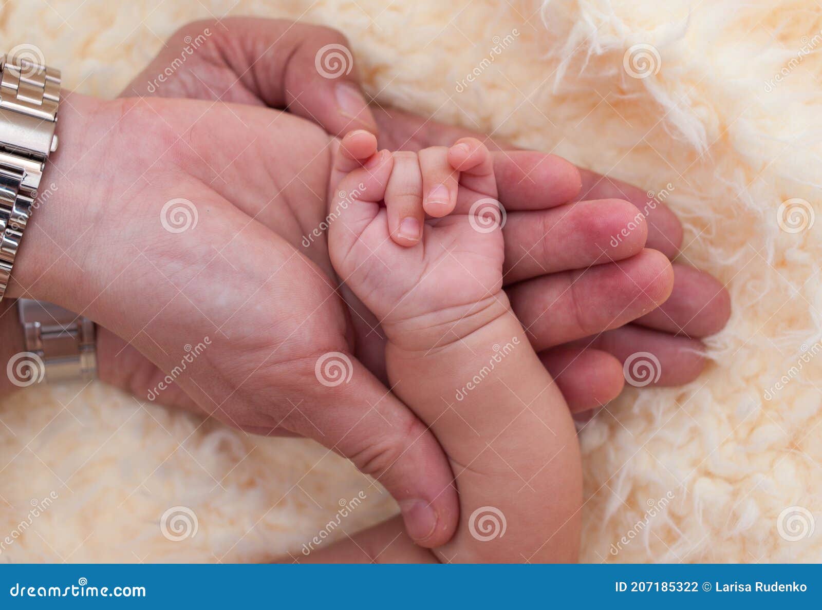 12 851 Baby Hand Mother Father Photos Free Royalty Free Stock Photos From Dreamstime 12 851 Baby Hand Mother Father Photos Free Royalty Free Stock Photos From Dreamstime