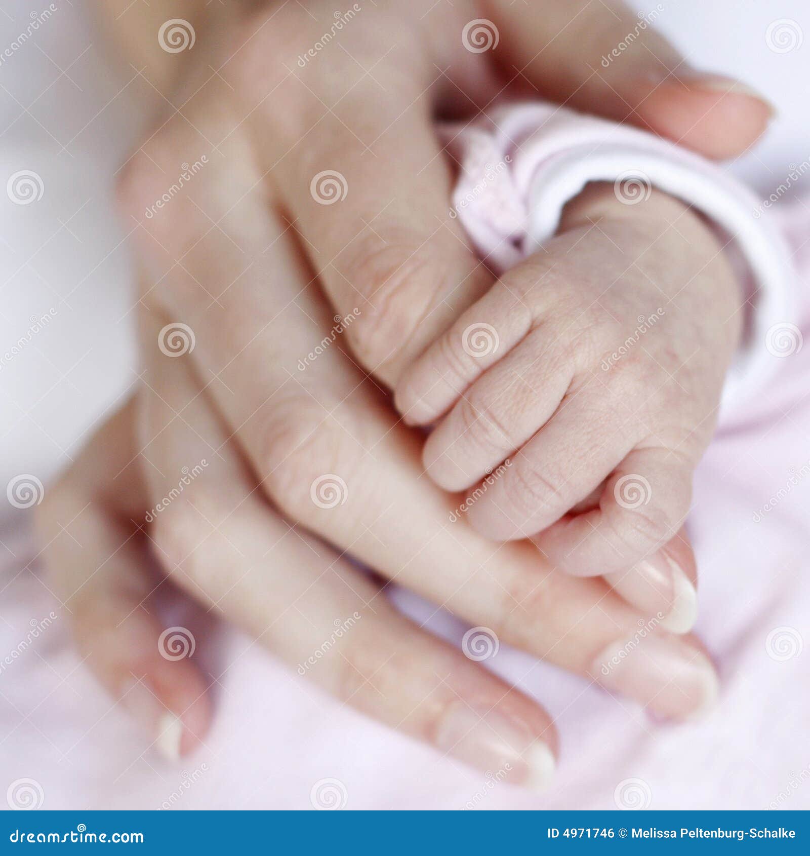 Baby hands stock photo. Image of parent, baby, parenthood 4971746
