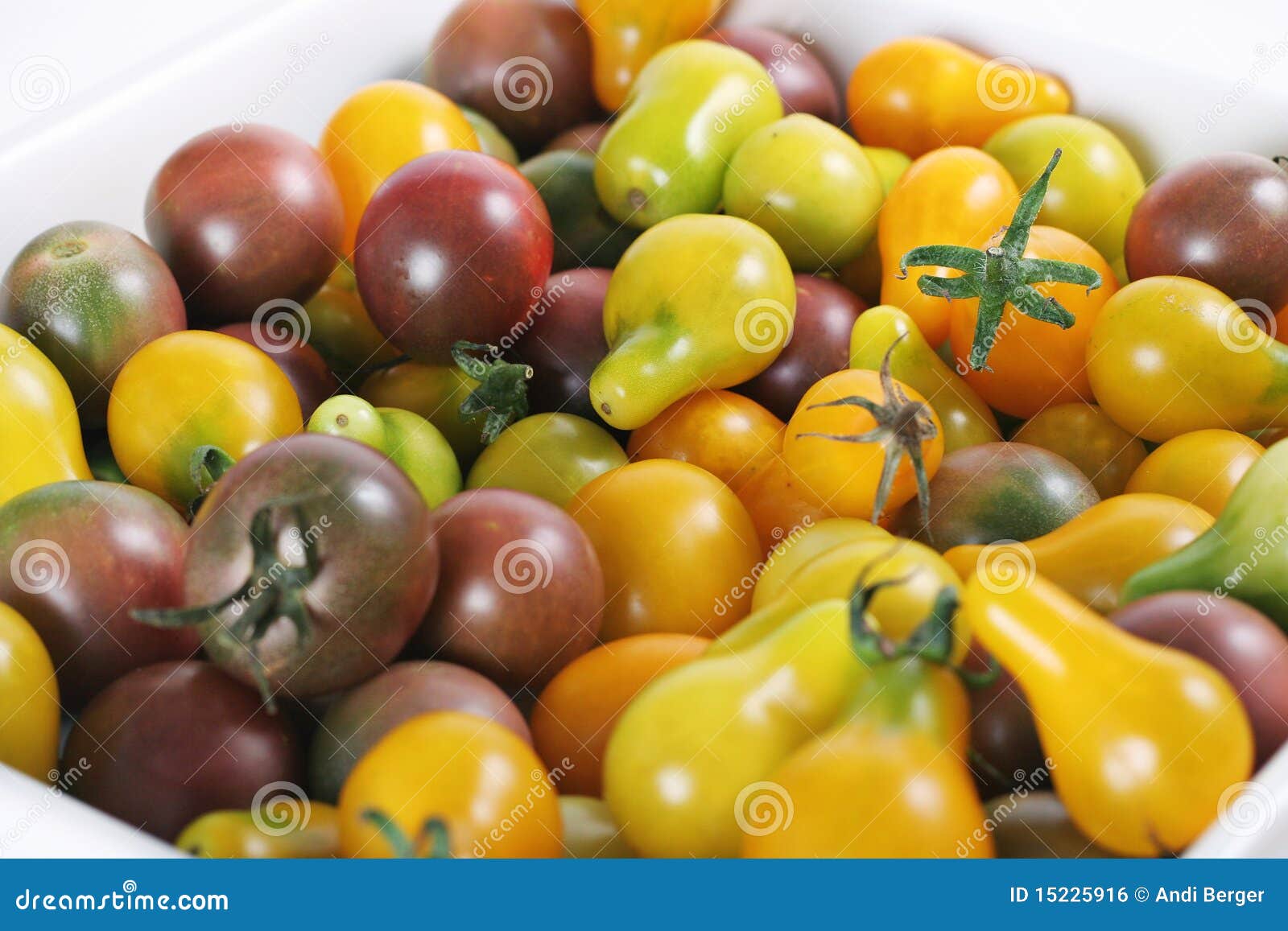 Baby Heirloom Tomatoes from the Garden Stock Photo Image of fresh