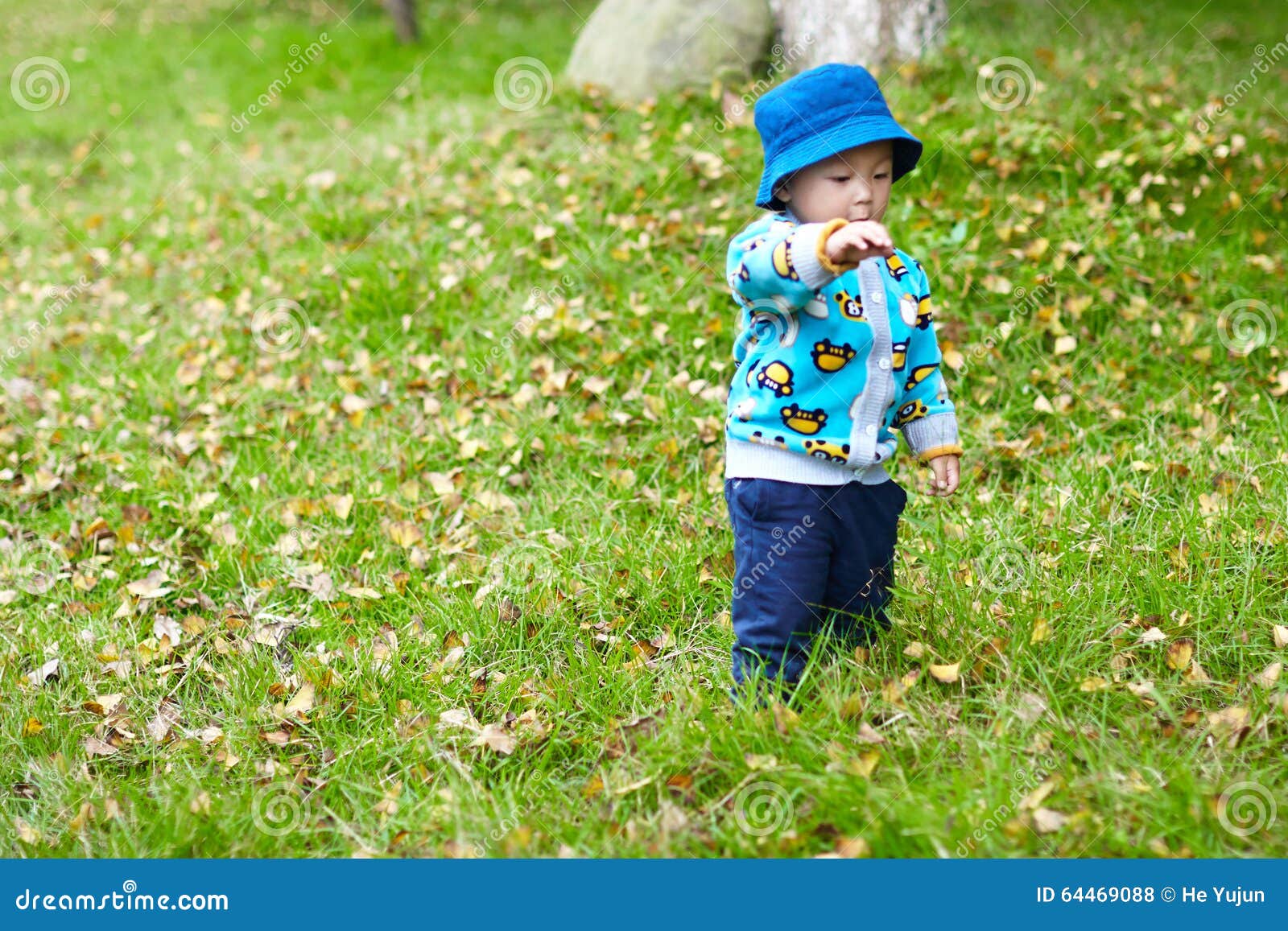 Baby hiking stock photo. Image of land, baby, leaf, chongqing 64469088