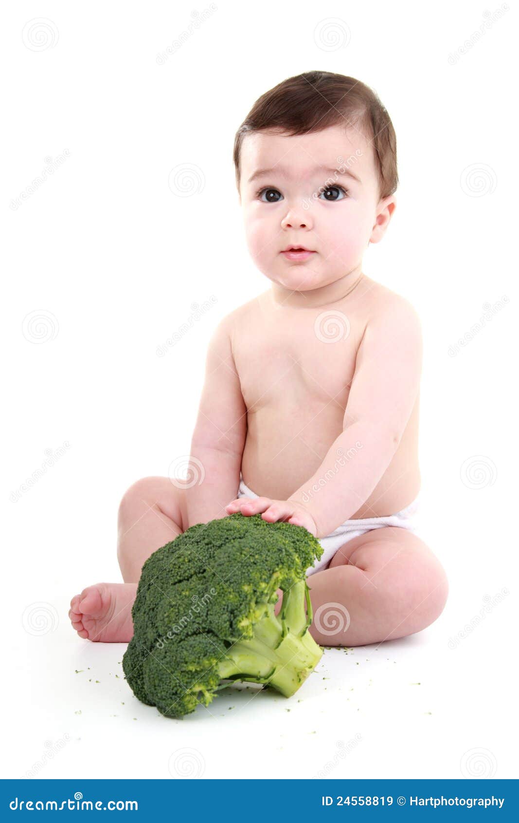 Baby holding broccoli stock image. Image of learning 24558819