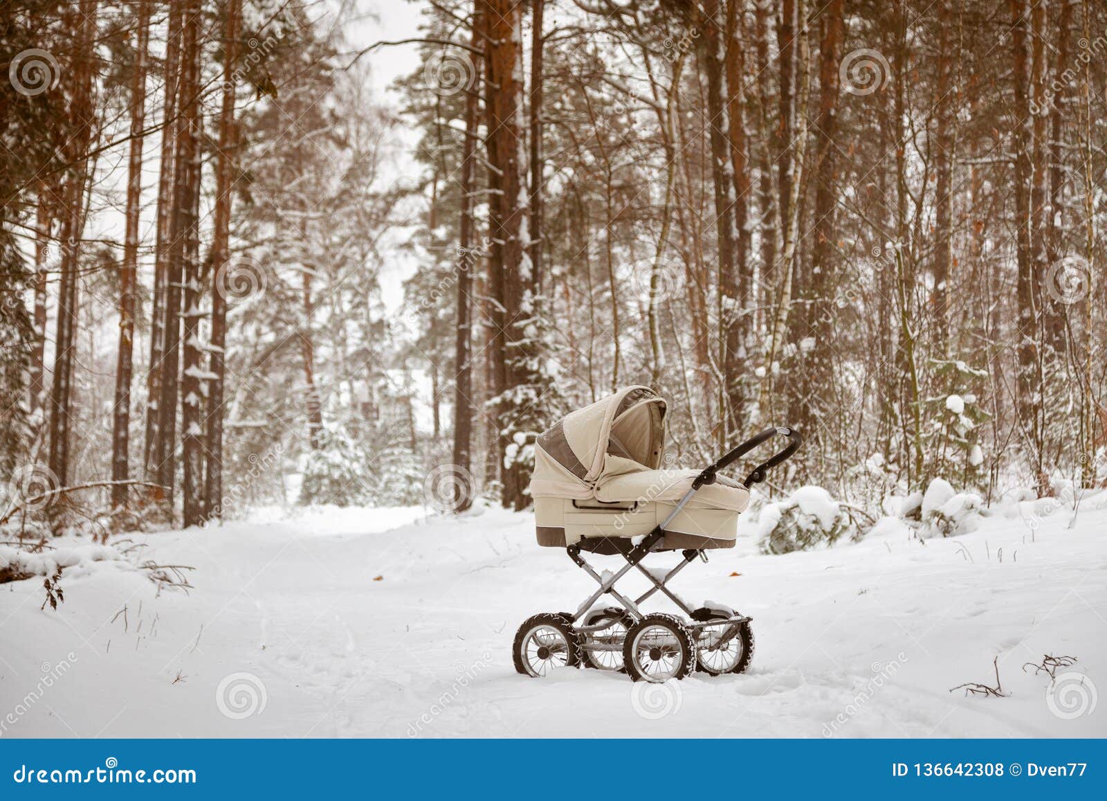 snow pram