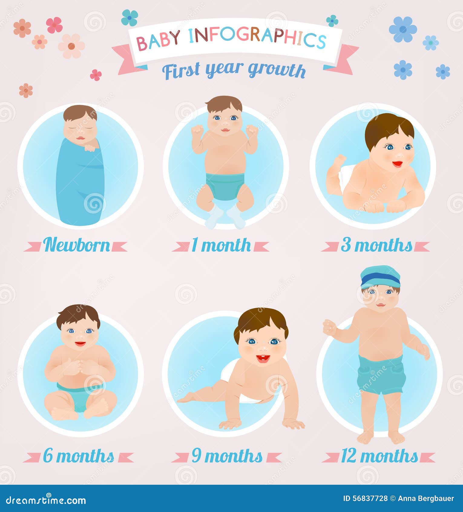 Baby Infographic Stock Vector - Image: 56837728