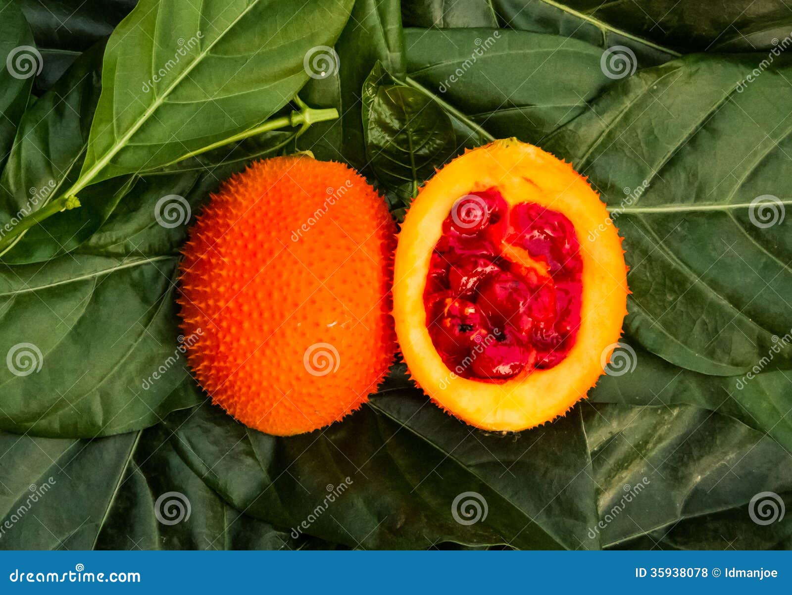 Baby jackfruit stock photo. Image of properties, healthy 35938078