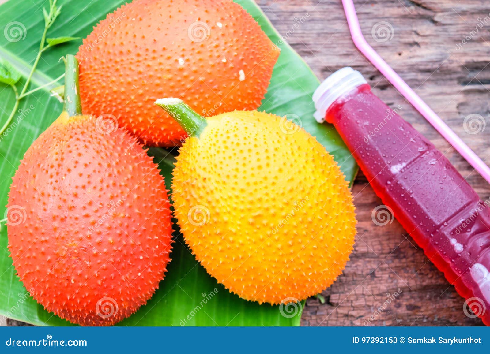 Baby Jackfruit and juice stock photo. Image of natural 97392150