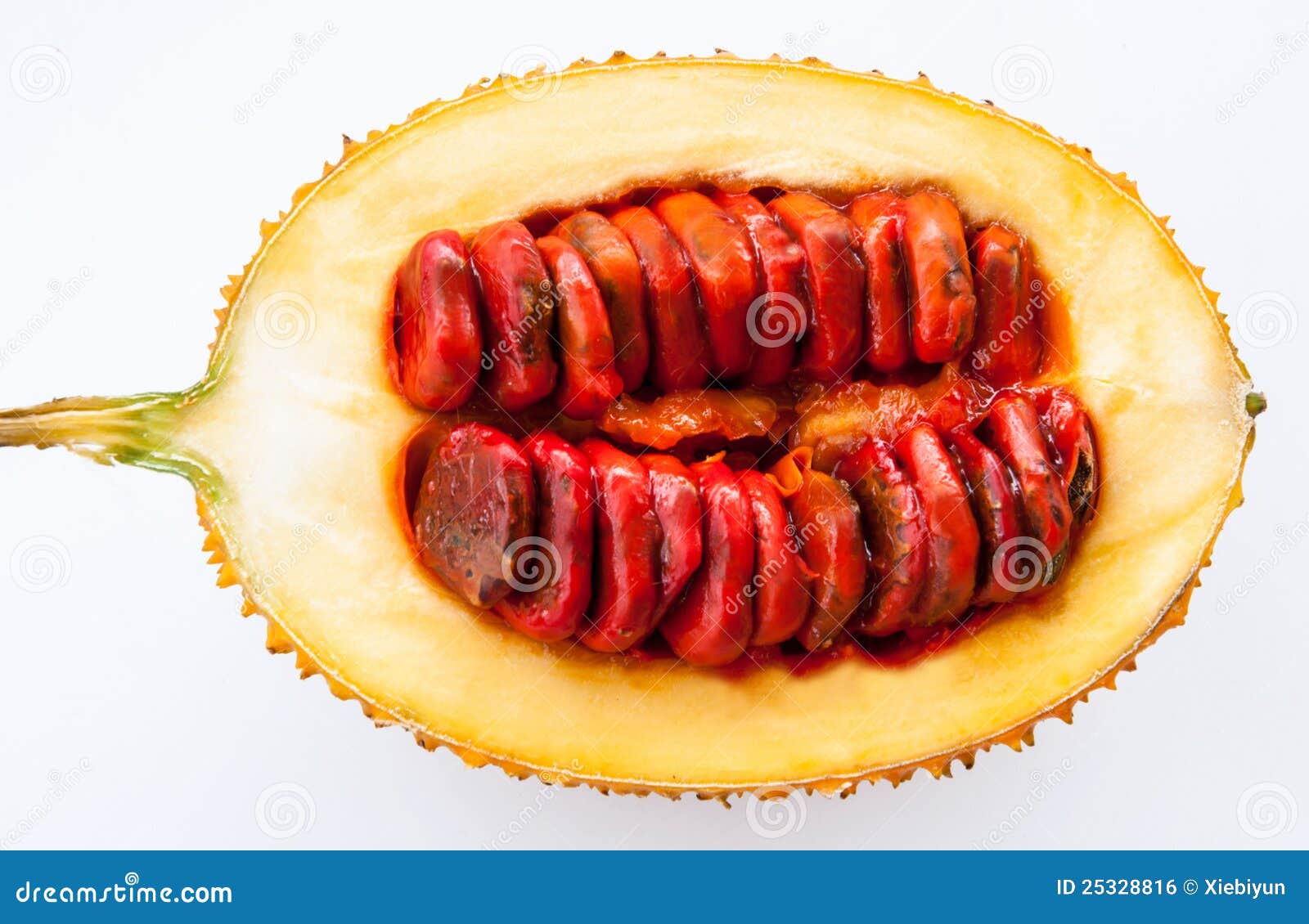 Baby Jackfruit Spiny Bitter Gourd Stock Photo Image of healthy