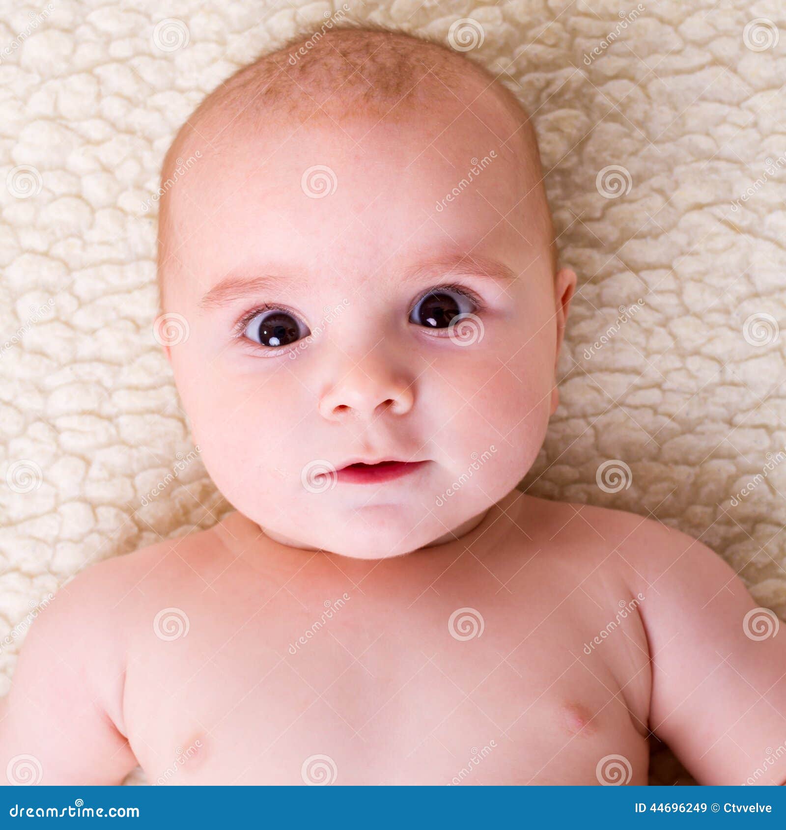 Baby Laying on White Sheets in Bed Stock Image Image of life