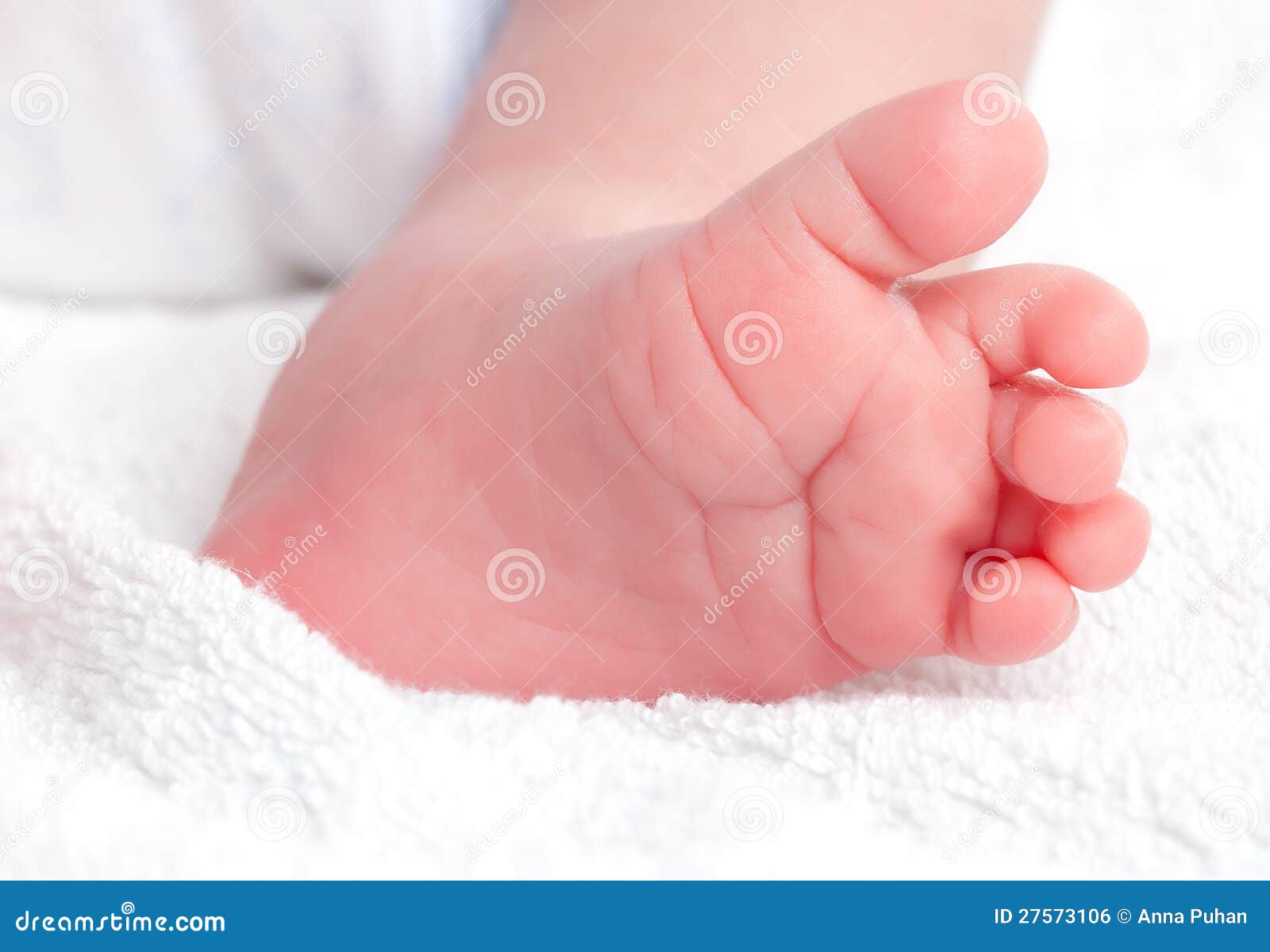 Baby legs. Infant stock photo. Image of development, family 27573106
