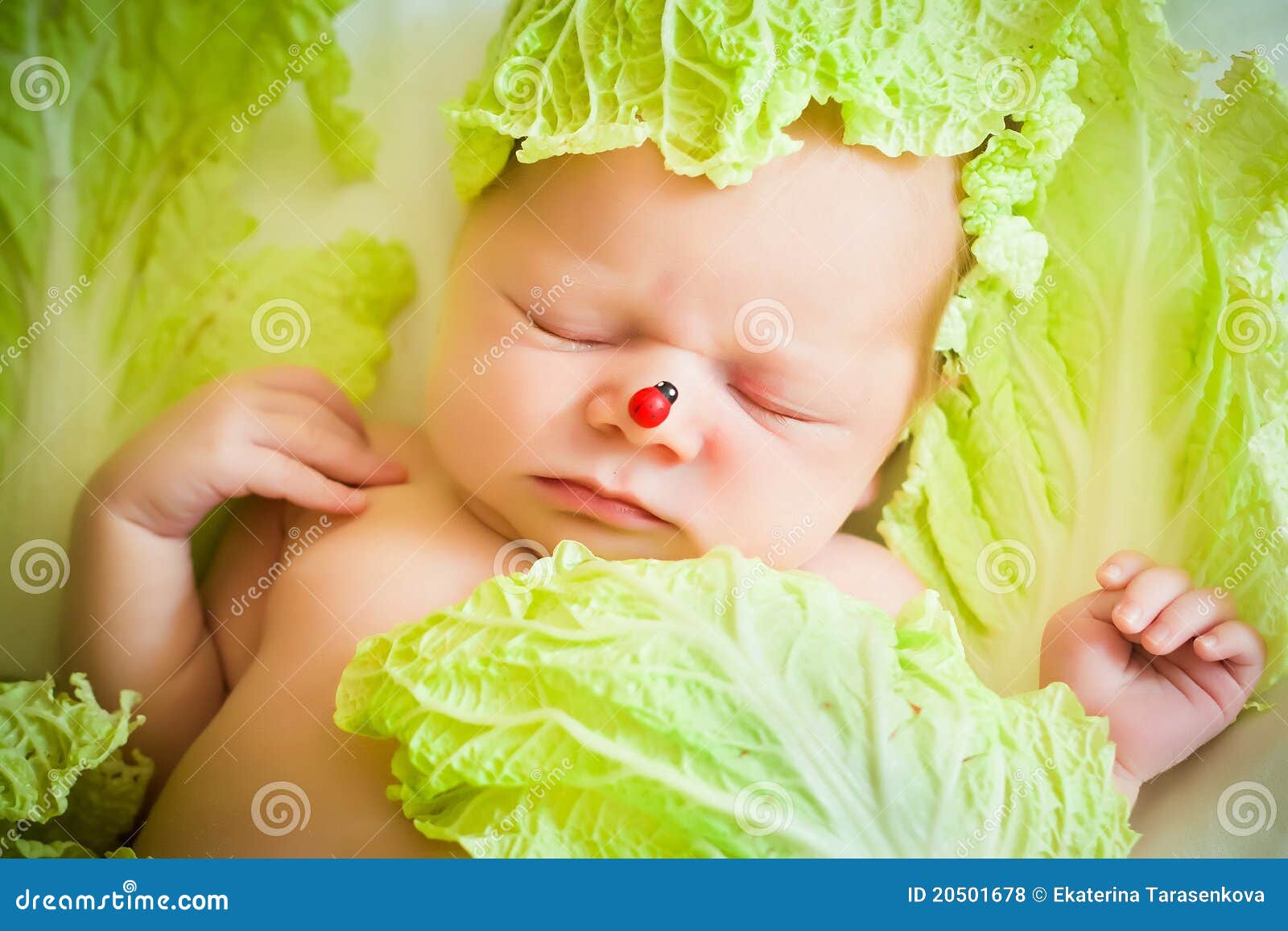 Baby lying on the cabbage stock photo. Image of person 20501678
