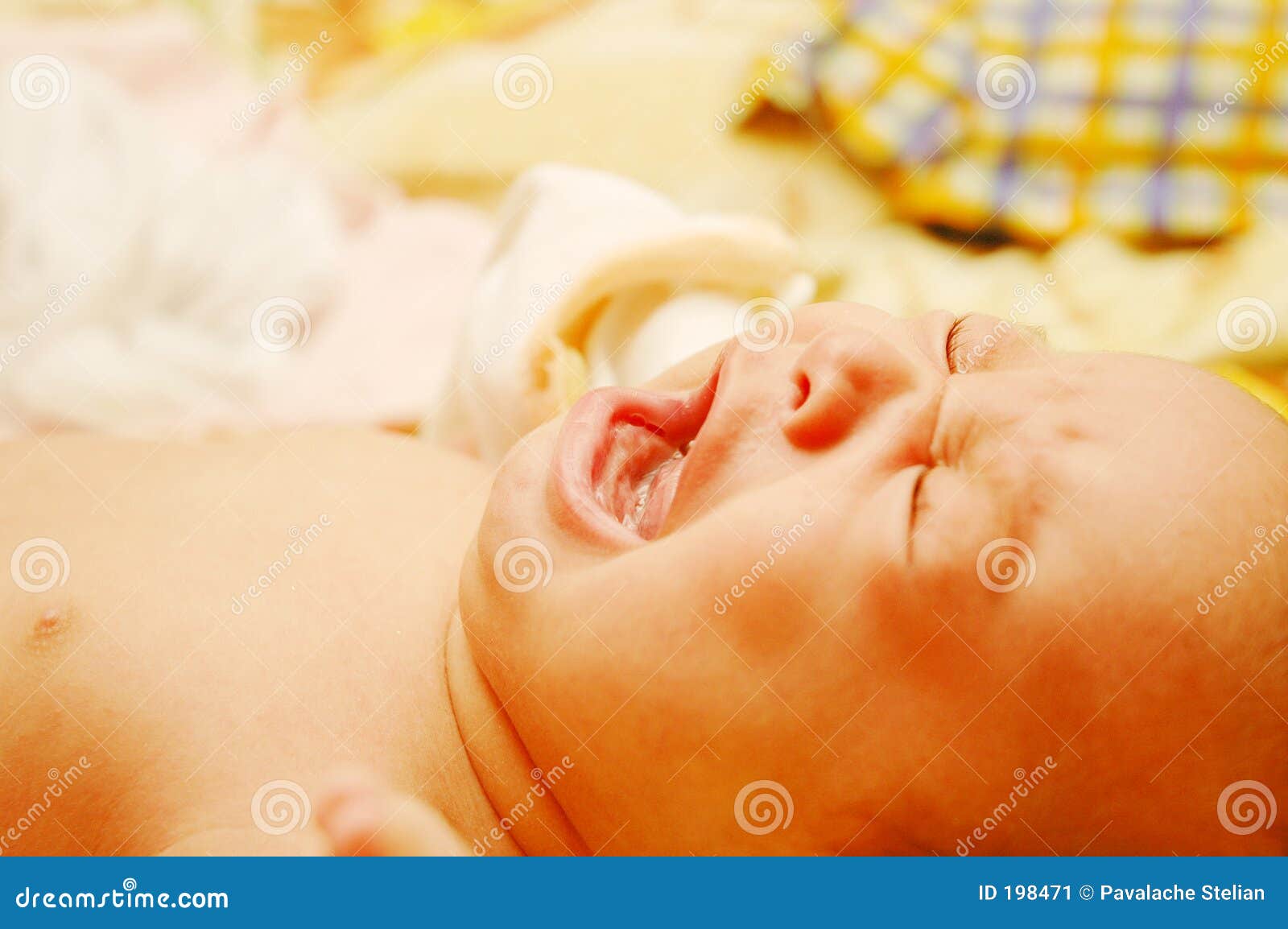 baby maria #15
