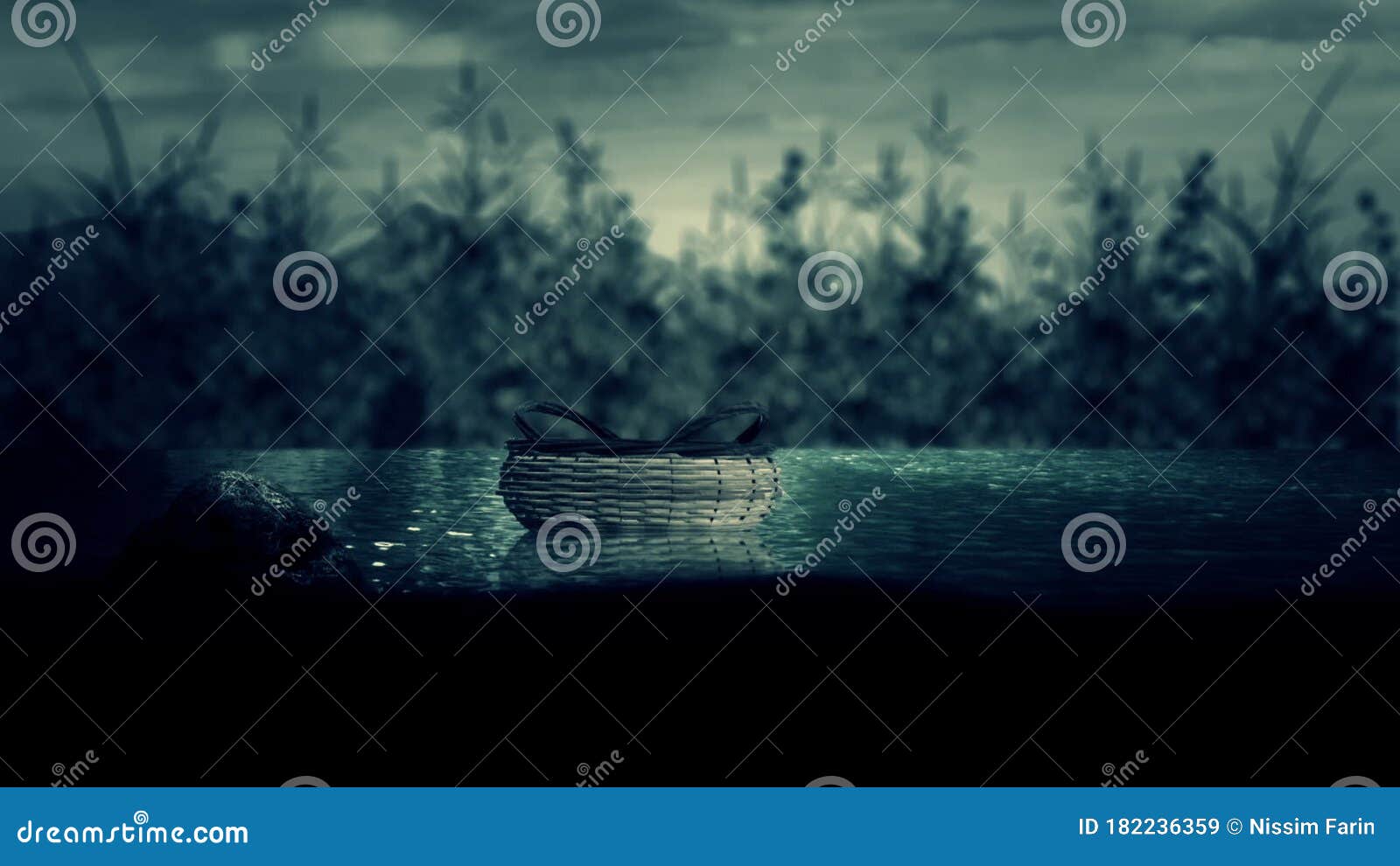 Baby Moses in the Ark of Bulrushes Basket Drifting in the River Nile ...