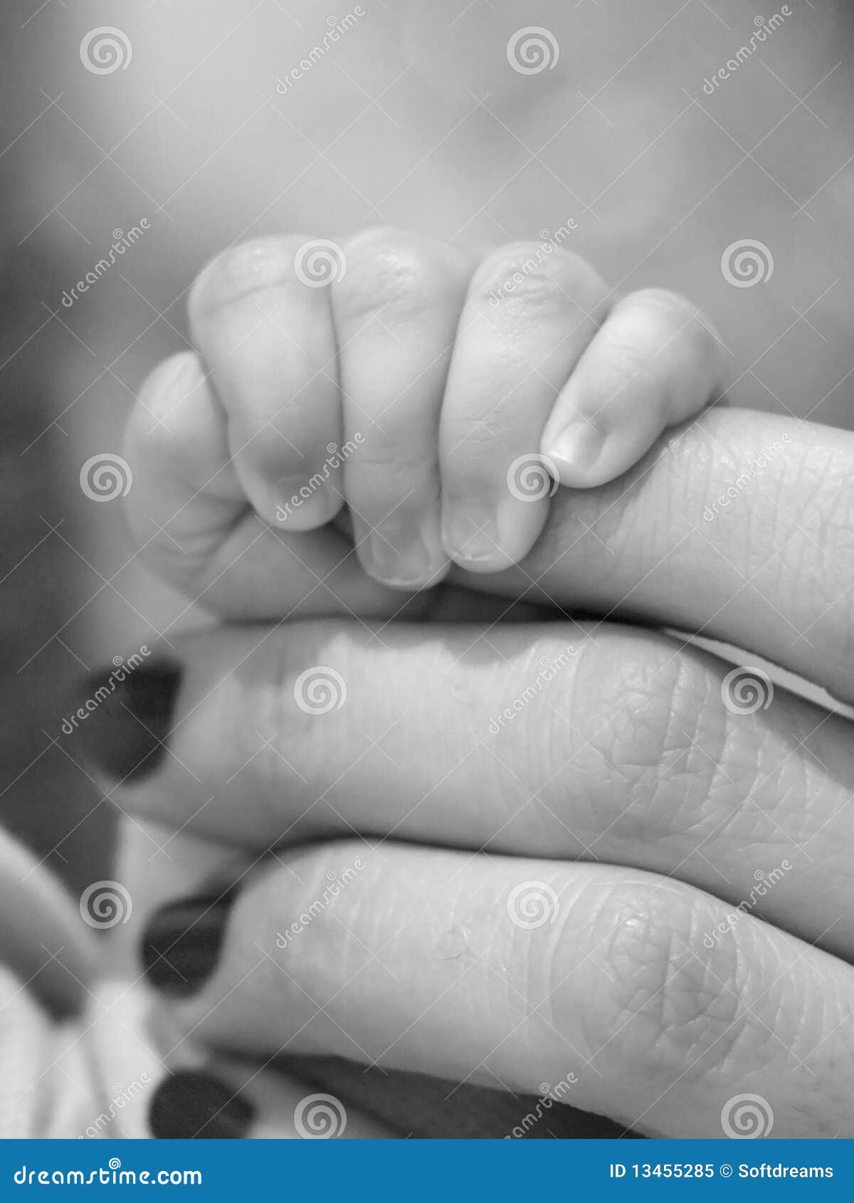 Download Baby And Mother Hands Stock Photo 13455285 Megapixl