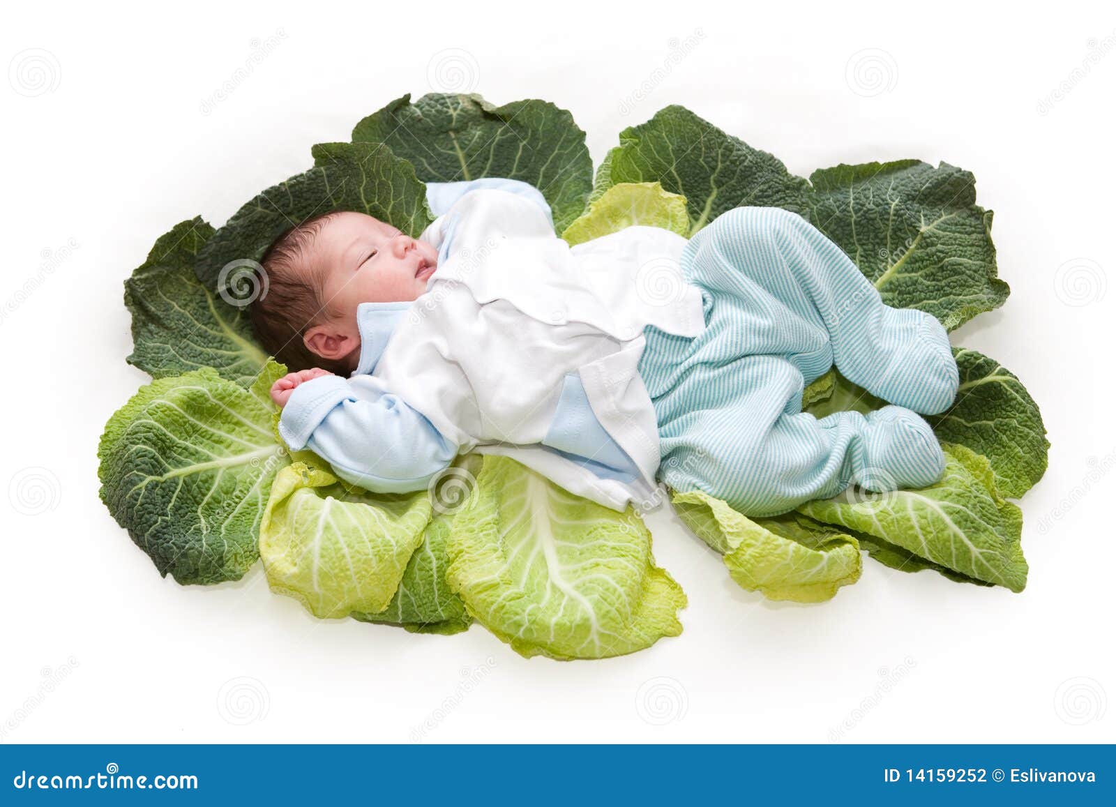Baby Newborn in Cabbage Leaves Stock Photo Image of small, caucasian