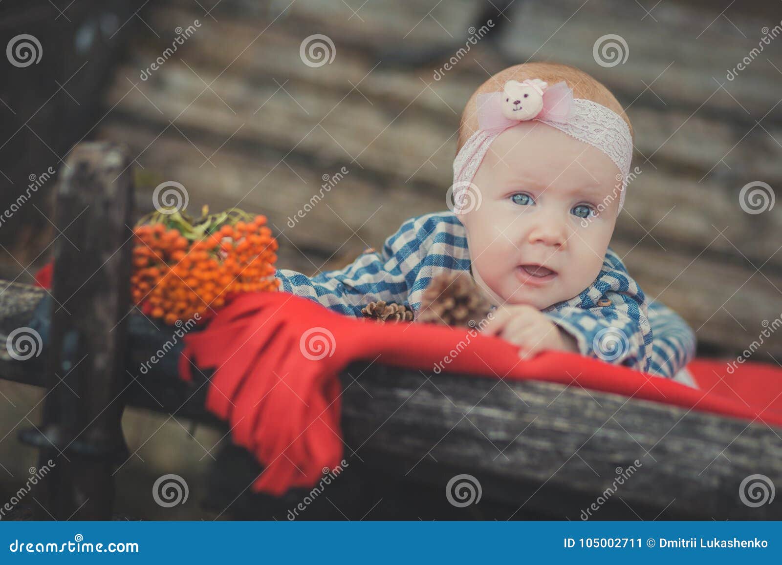 baby newborn girl with blue eyes wearing tartan check dress shirt and pink shawl bandana posing on wooden old style retro wagon ca