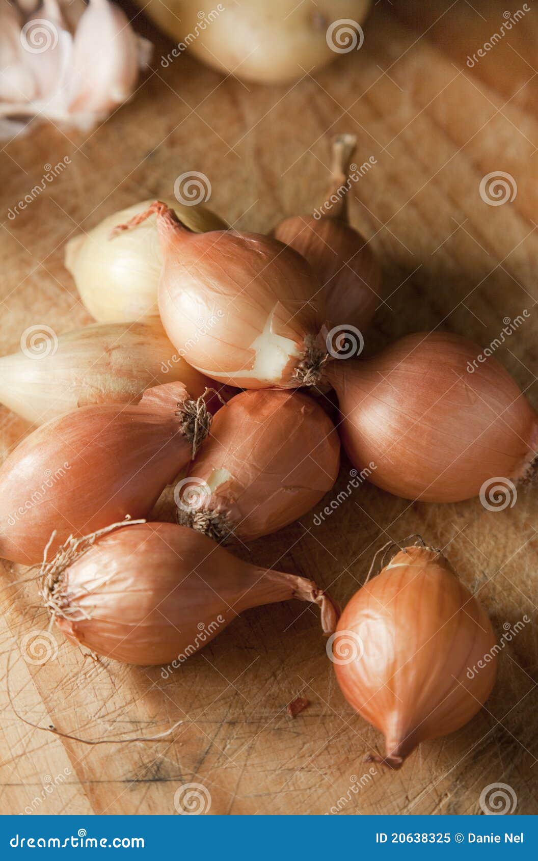 Baby onions stock image. Image of beverages, state, industries 20638325