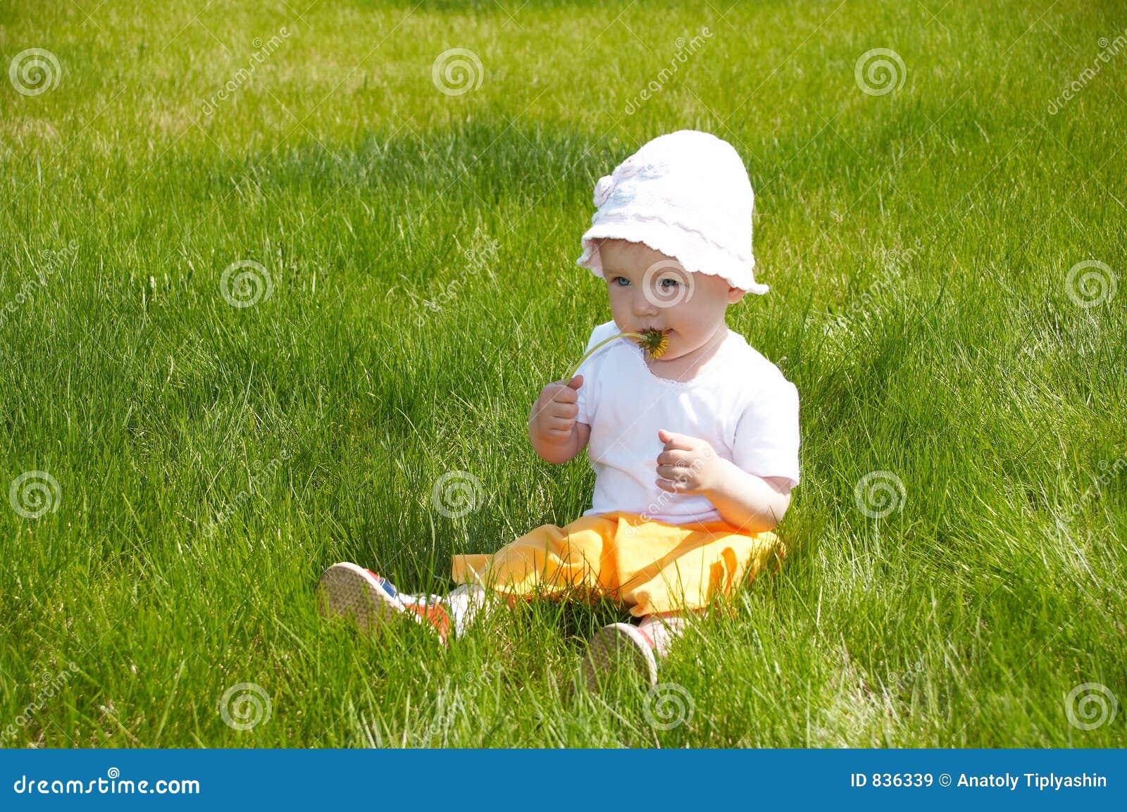 Baby outdoors stock image. Image of plot, green, little 836339