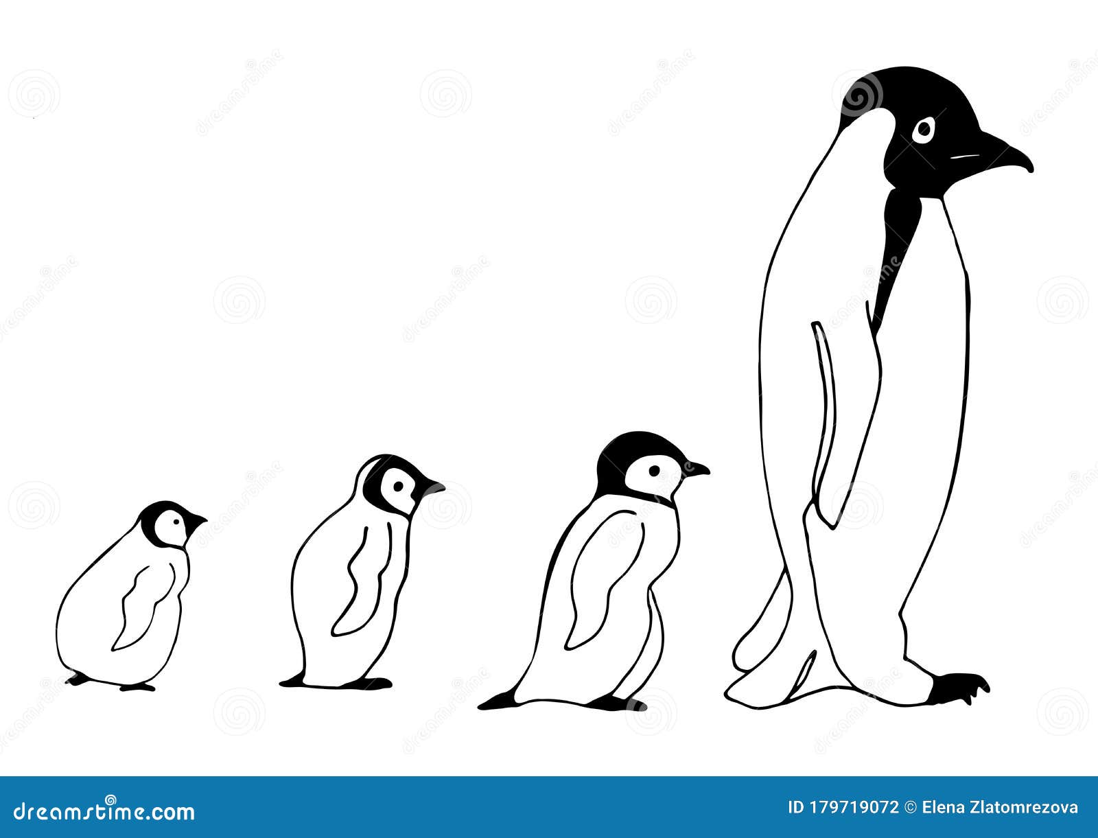 Download Baby Penguin Hand Drawn Picture Sketch For Anti Stress Adult Coloring Book In Zentangle Style Stock Illustration Illustration Of Antarctic Clip 179719072
