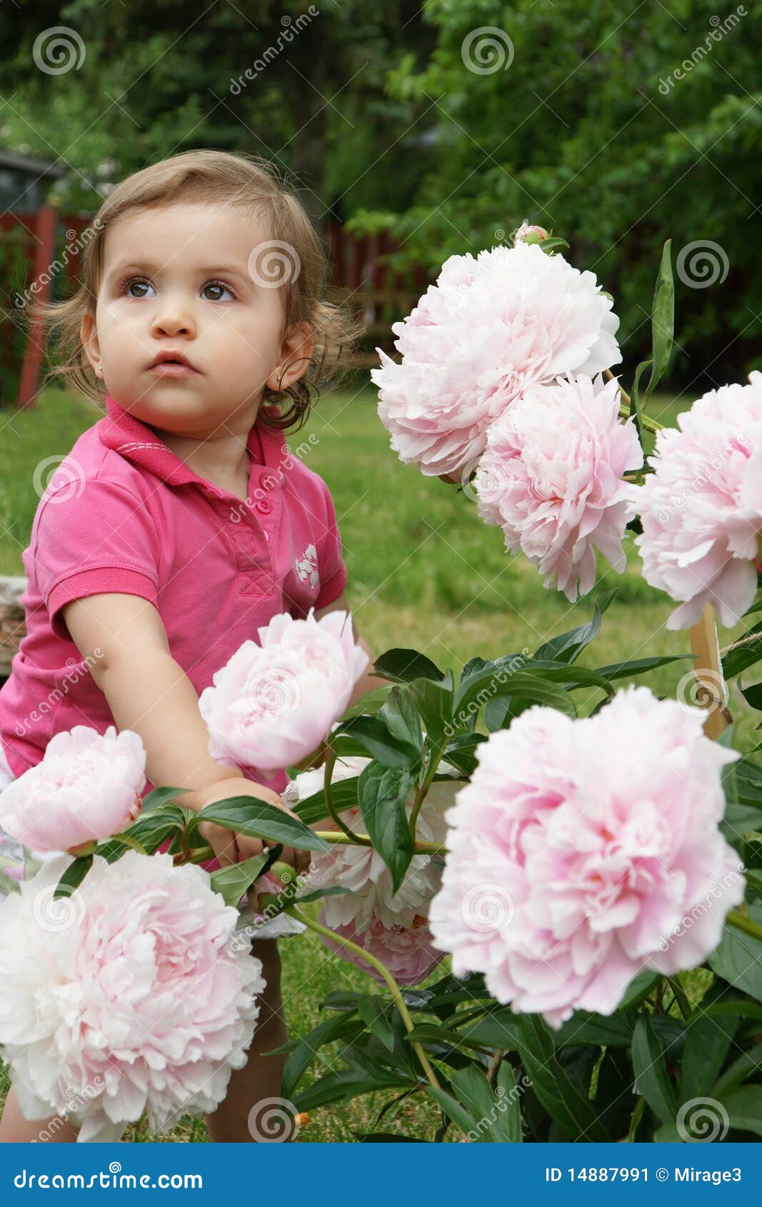Baby and peonies stock image. Image of toddler, large 14887991