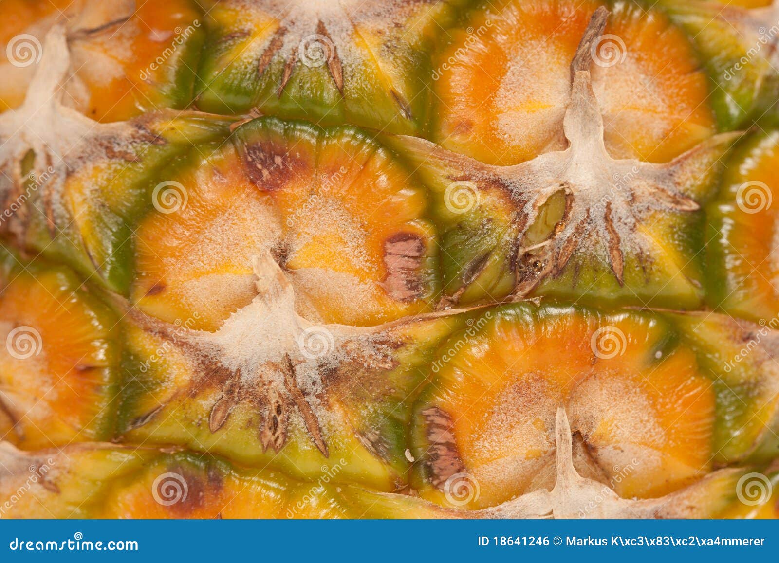 Baby pineapple stock photo. Image of ripening, background 18641246