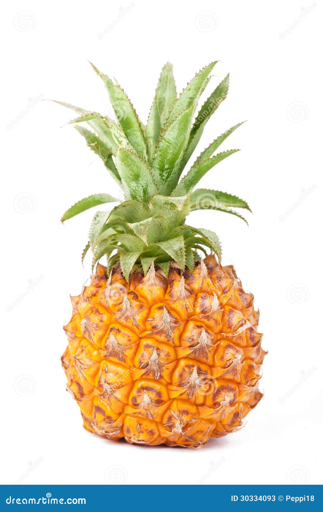 Baby pineapple stock image. Image of nature, pineapple 30334093