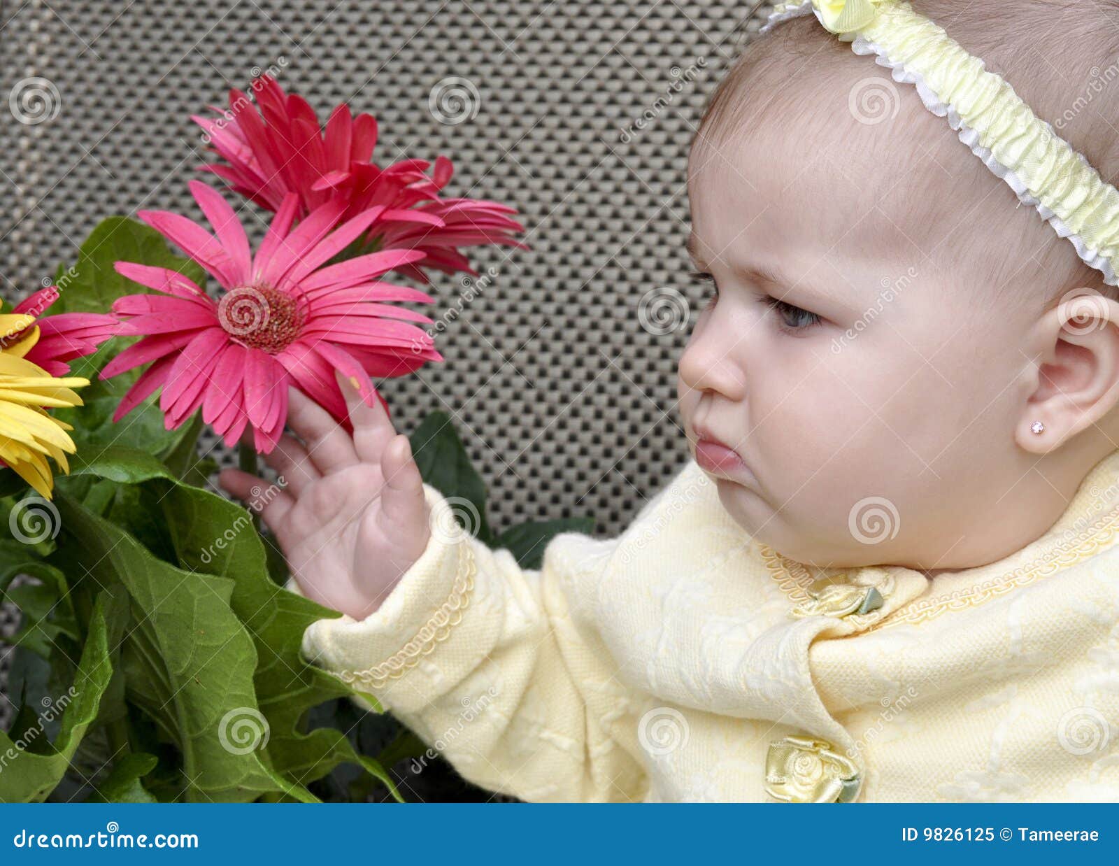 Download Baby with Posies stock image. Image of color, caucasian ...