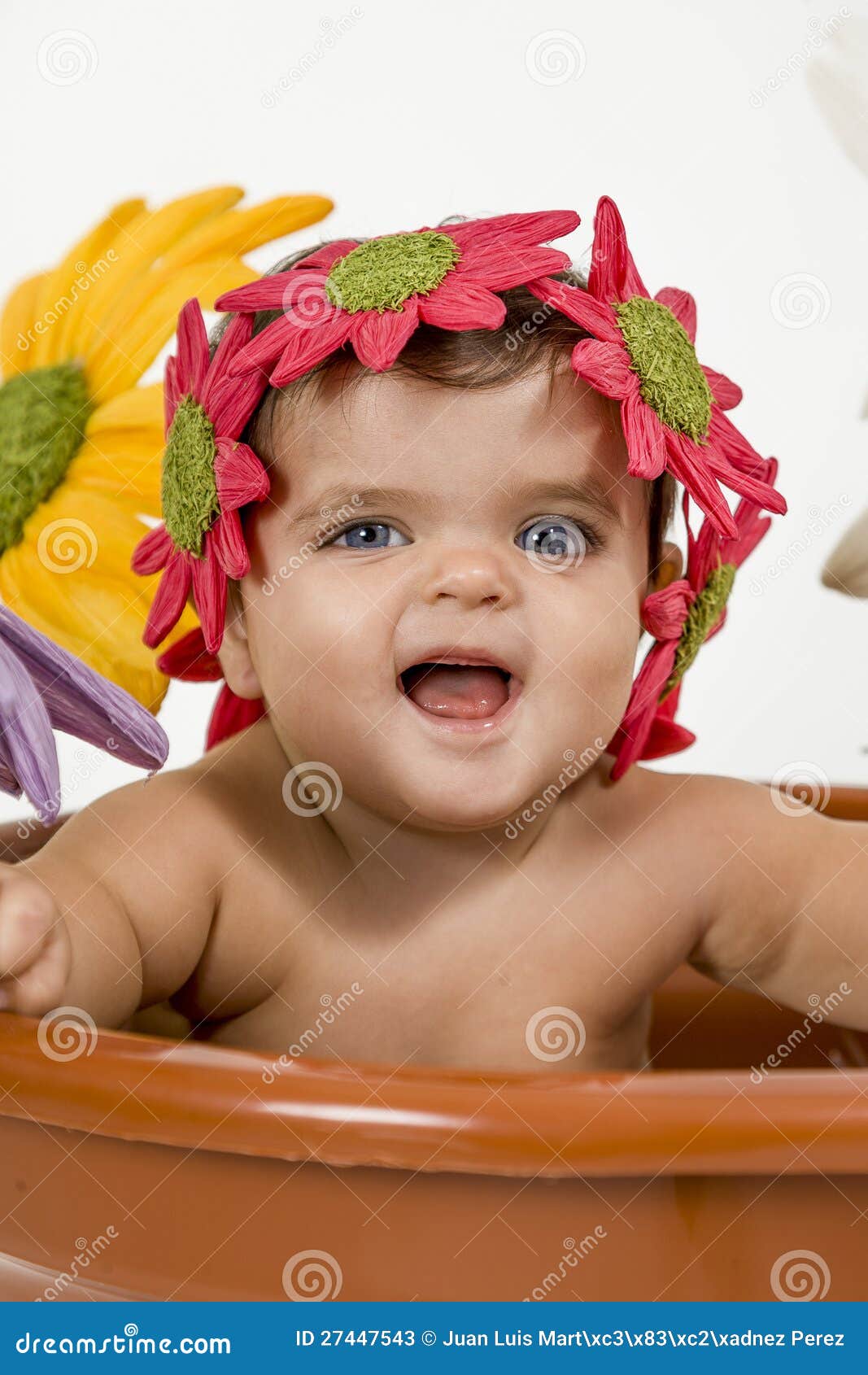 Baby in a pot stock image. Image of background, blue 27447543