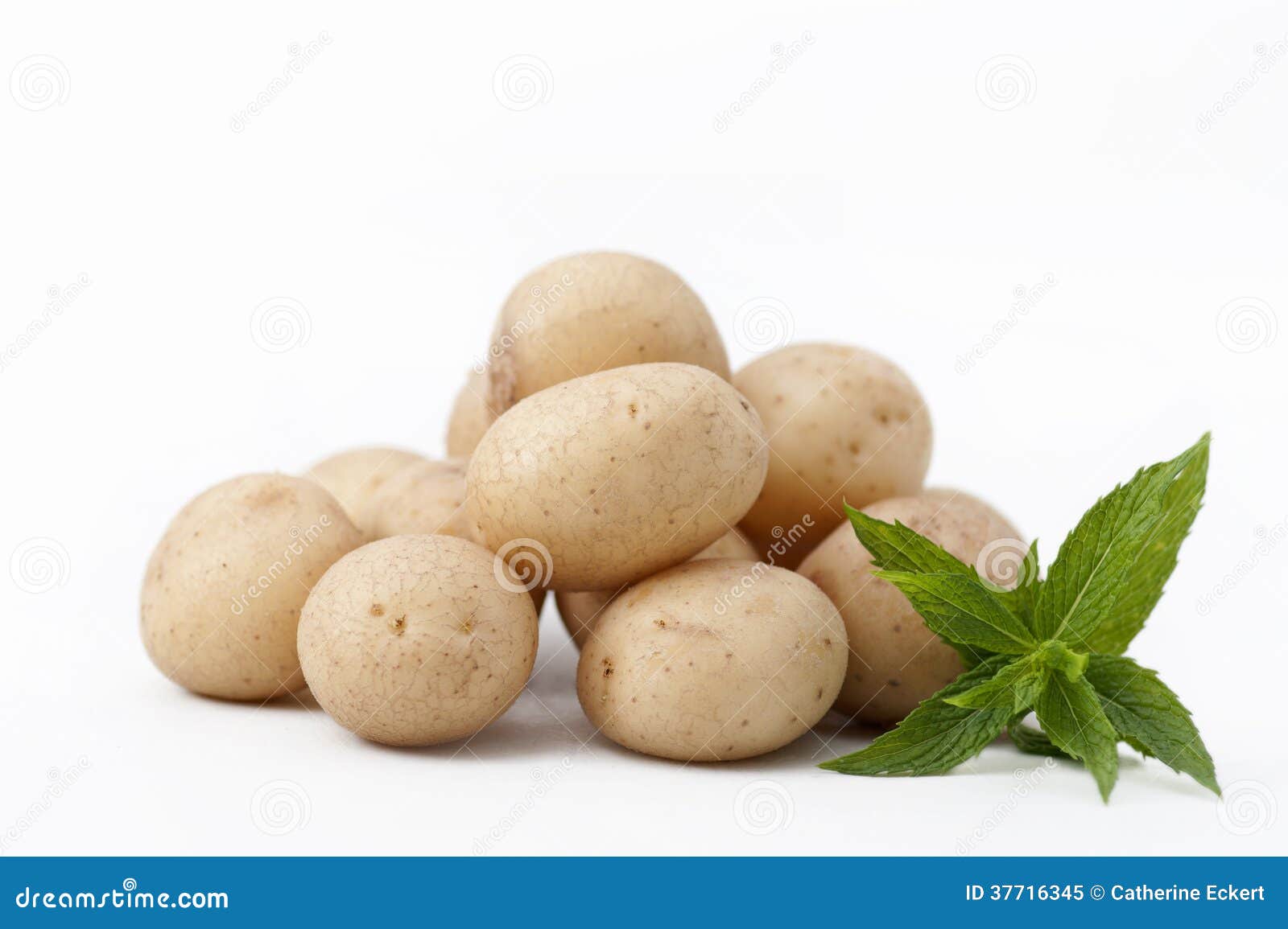 Baby Potatoes stock image. Image of root, organic, healthy 37716345