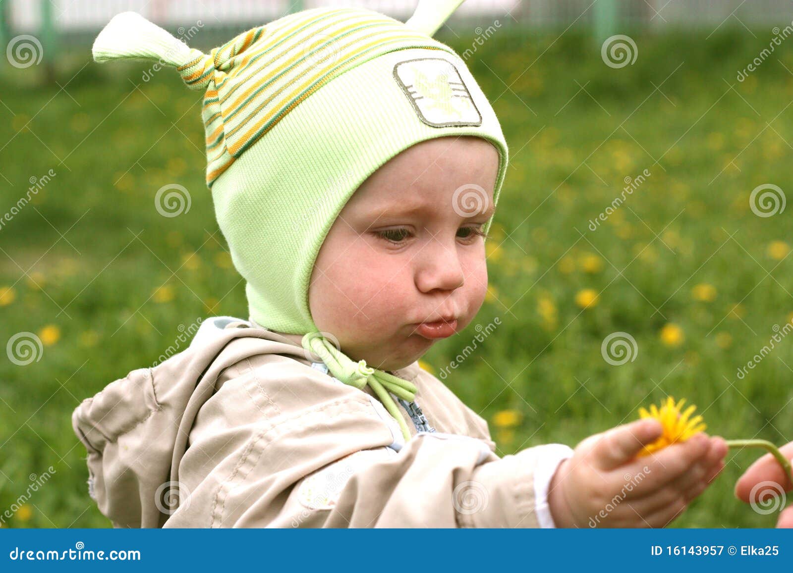 Baby Pulls His Hand for Flower Stock Image Image of happiness, eyes