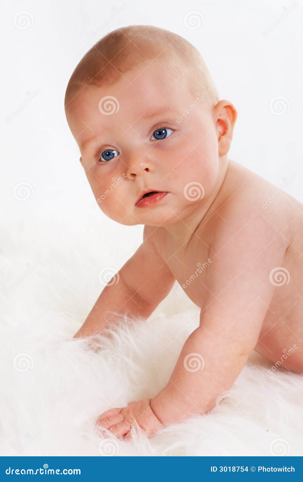 Baby push up stock photo. Image of cute, baby, arms, nappy ...