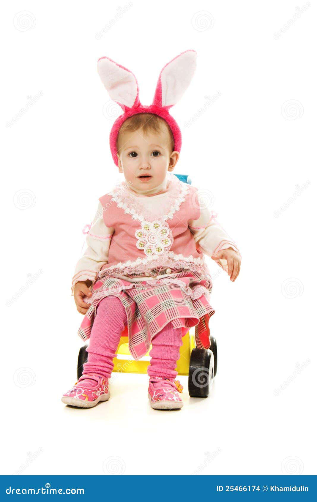 Baby Rabbit Ears To Ride with a Sidecar . Stock Photo Image of face