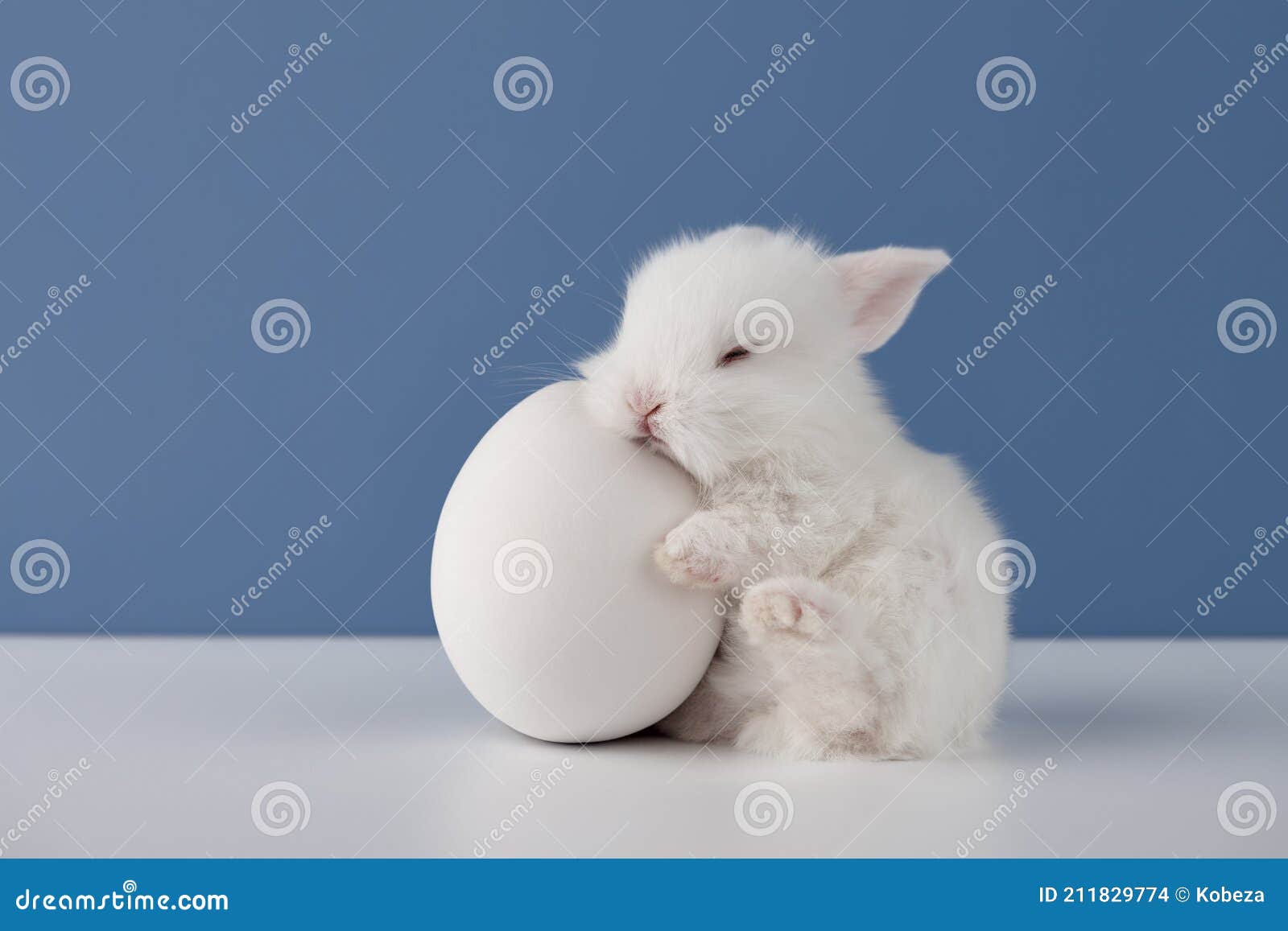 Baby Rabbit Sleeping on White Easter Egg Stock Photo Image of