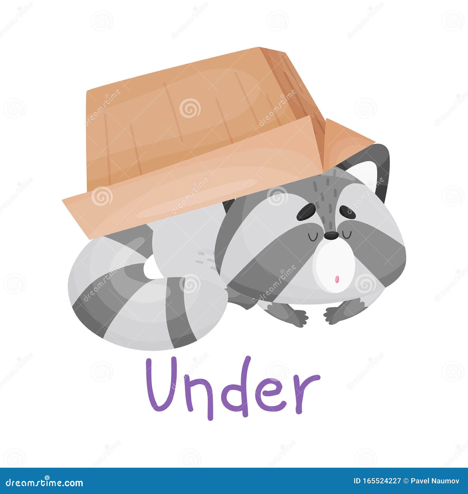 Baby Raccoon Laying Under the Box with Handwritten Inscription Preposition Under Vector Illustration Cartoon Character Stock Vector - Illustration of amusing, grey: 165524227 Baby Raccoon Laying Under the Box with Handwritten Inscription Preposition Under Vector Illustration Cartoon Character Stock Vector - Illustration of amusing, grey: 165524227