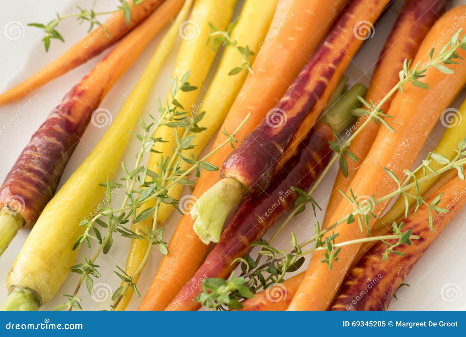 Baby Rainbow Carrots Closeup Stock Image Image of colored, close