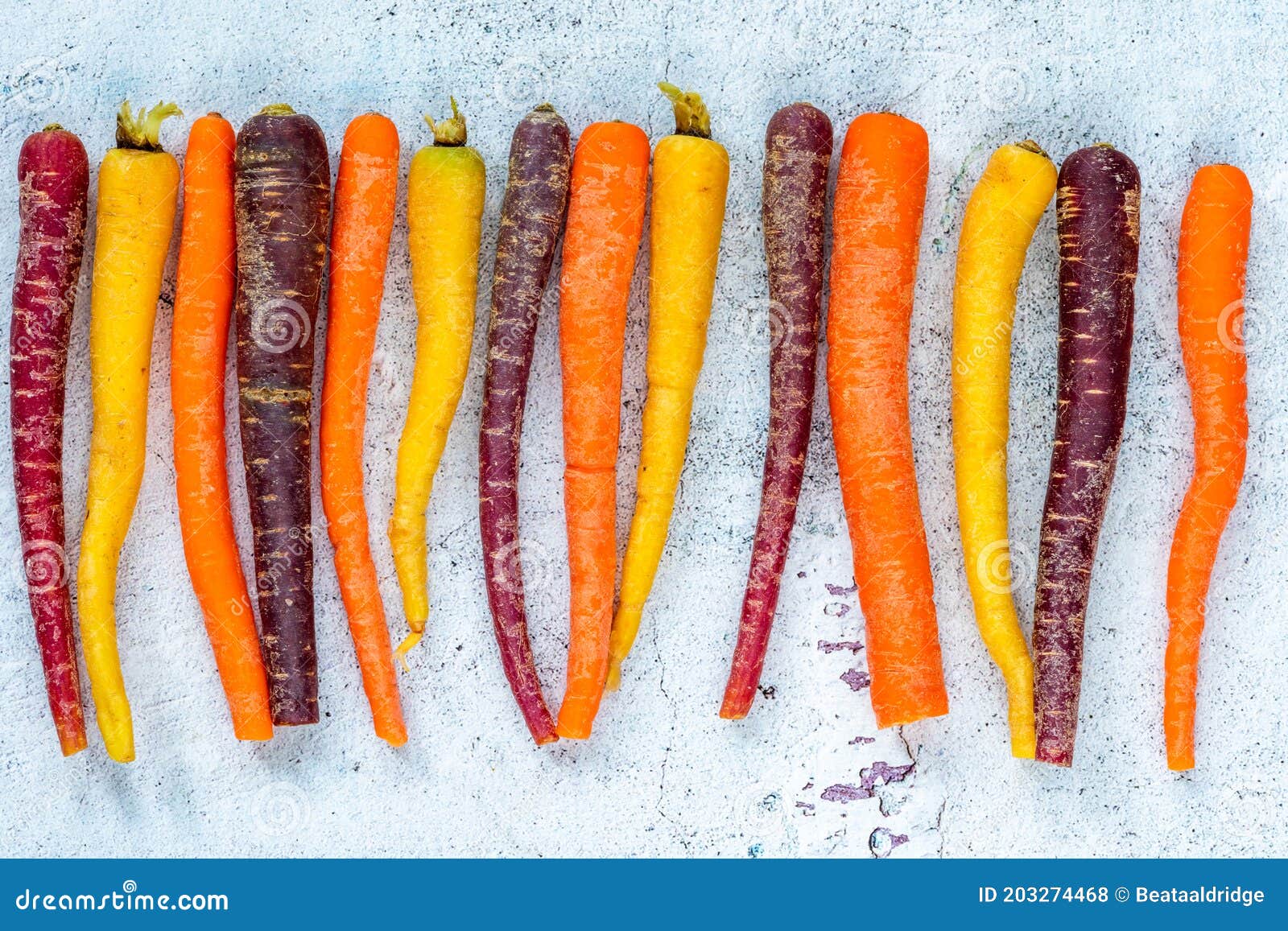 Baby rainbow carrots stock photo. Image of colorful 203274468