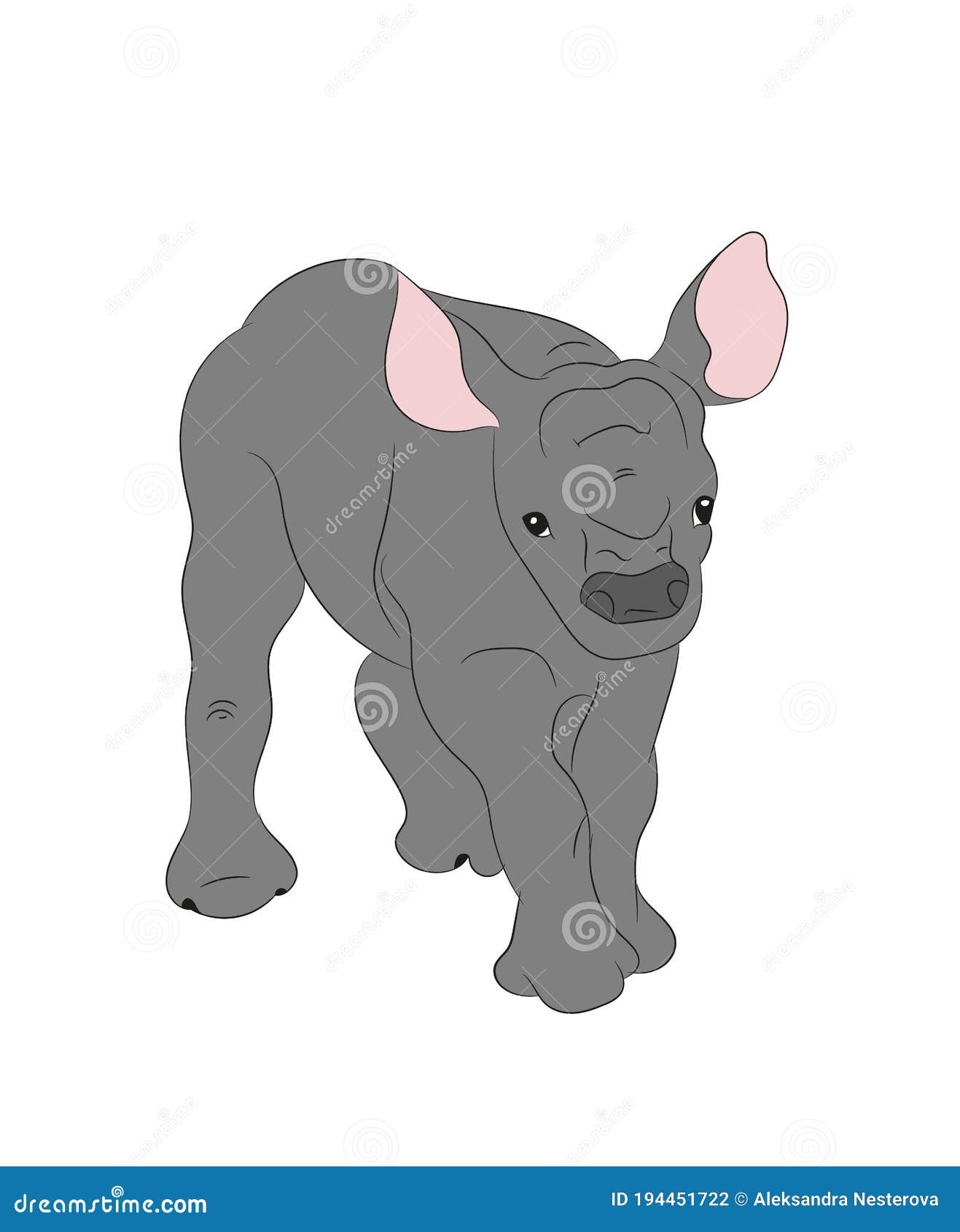 Download Baby Rhino Vector Illustration, Color Drawing, Vector ...