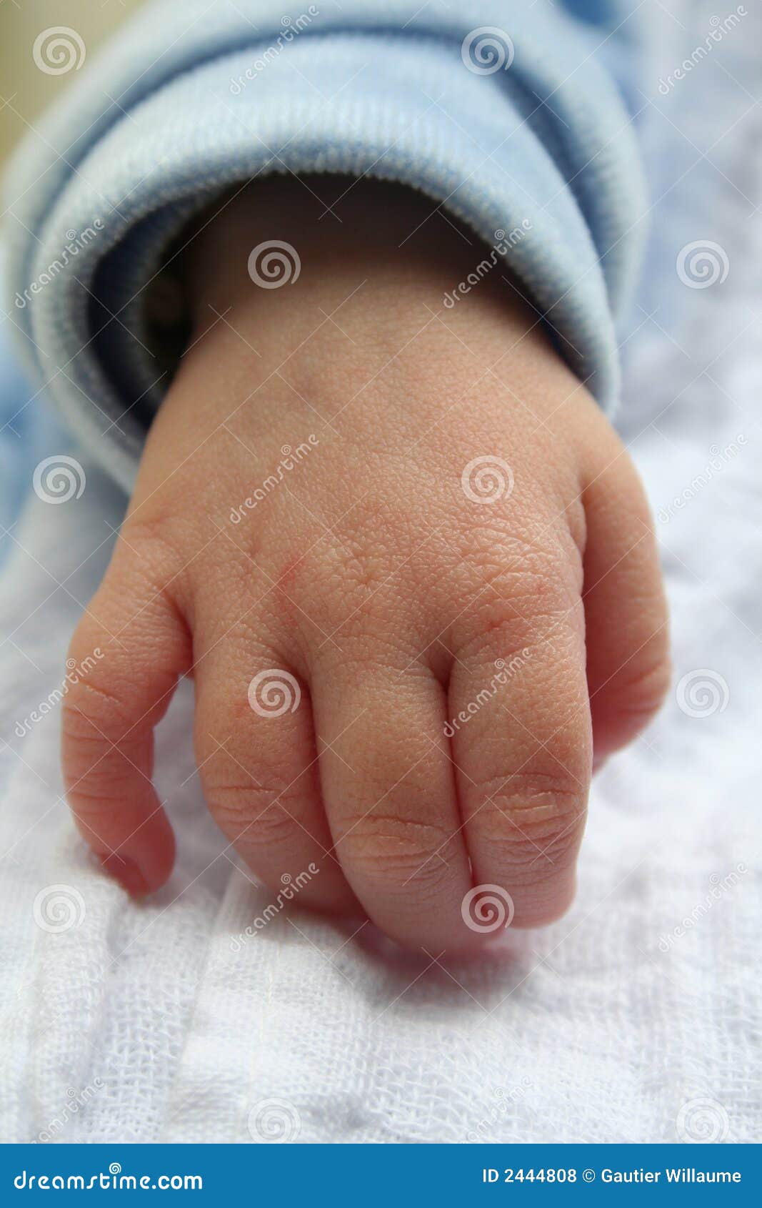 Baby s hand stock photo. Image of conceptual, anatomy 2444808