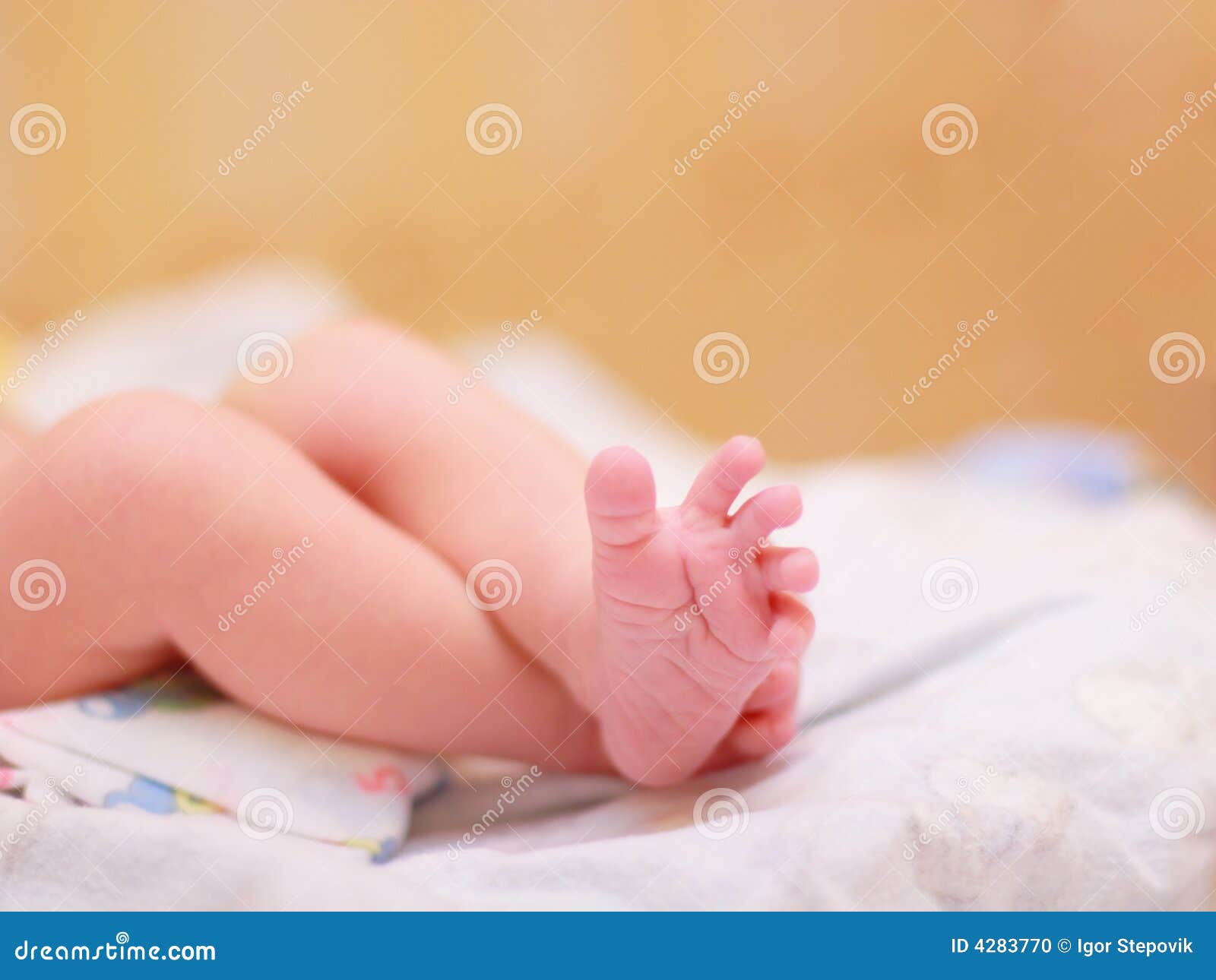 Baby's Legs Picture. Image 4283770