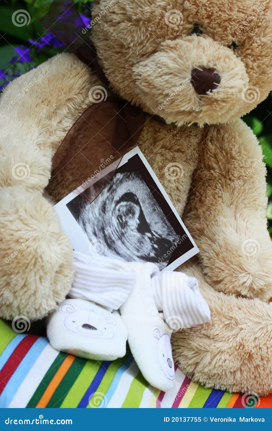 baby shoes and teddy bear and baby ultrasound