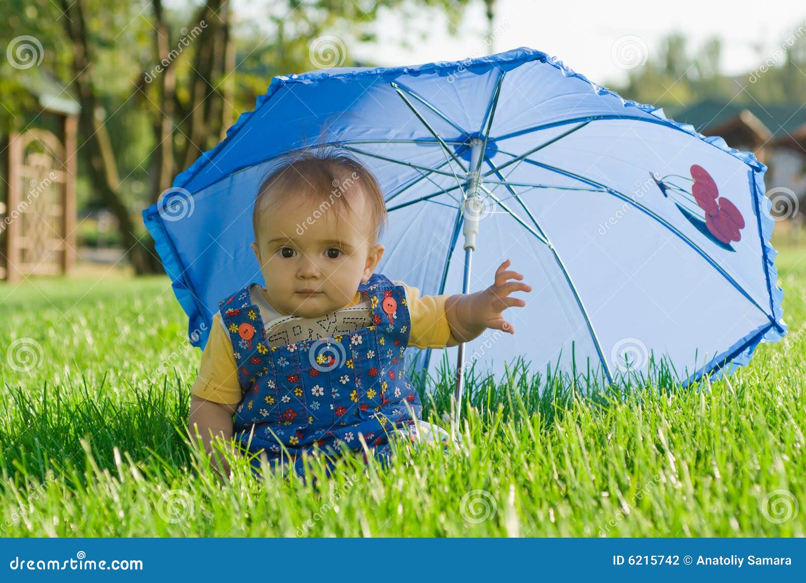 umbrella for infants