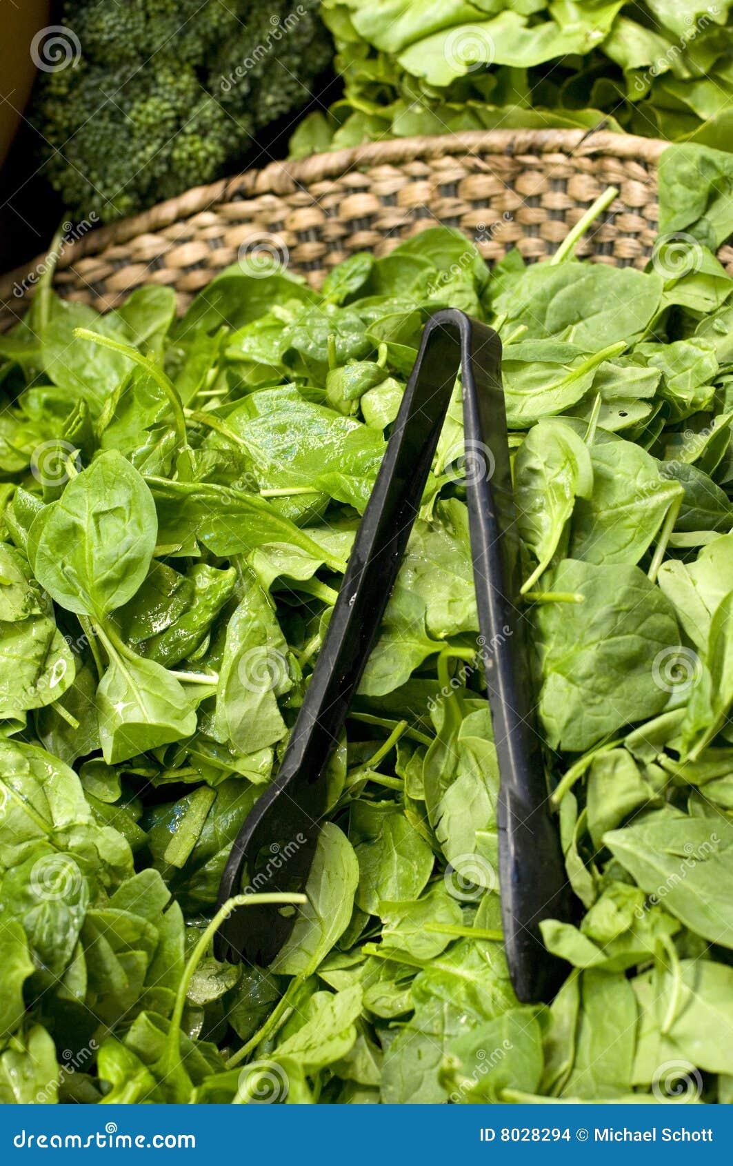 baby spinach in basket