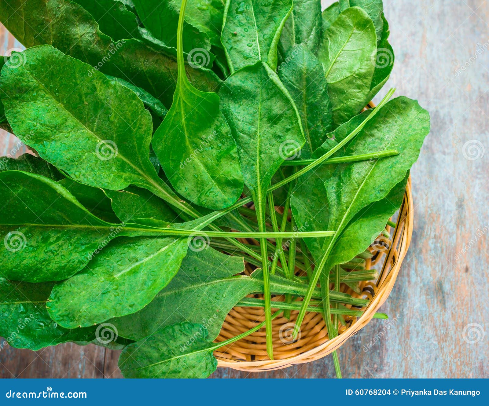 Baby Spinach stock photo. Image of water, vegetable, leaves - 60768204