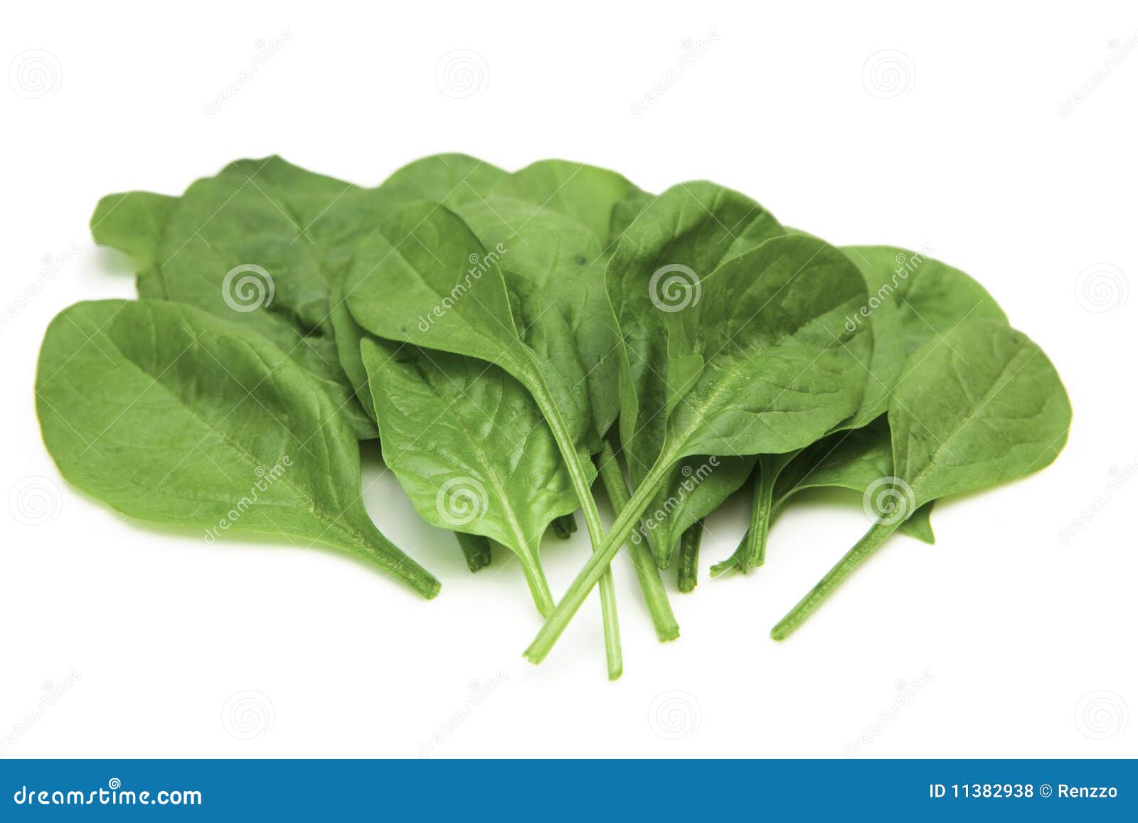 Baby Spinach Leaves Arranged. Stock Photo Image of cuisine, spinach