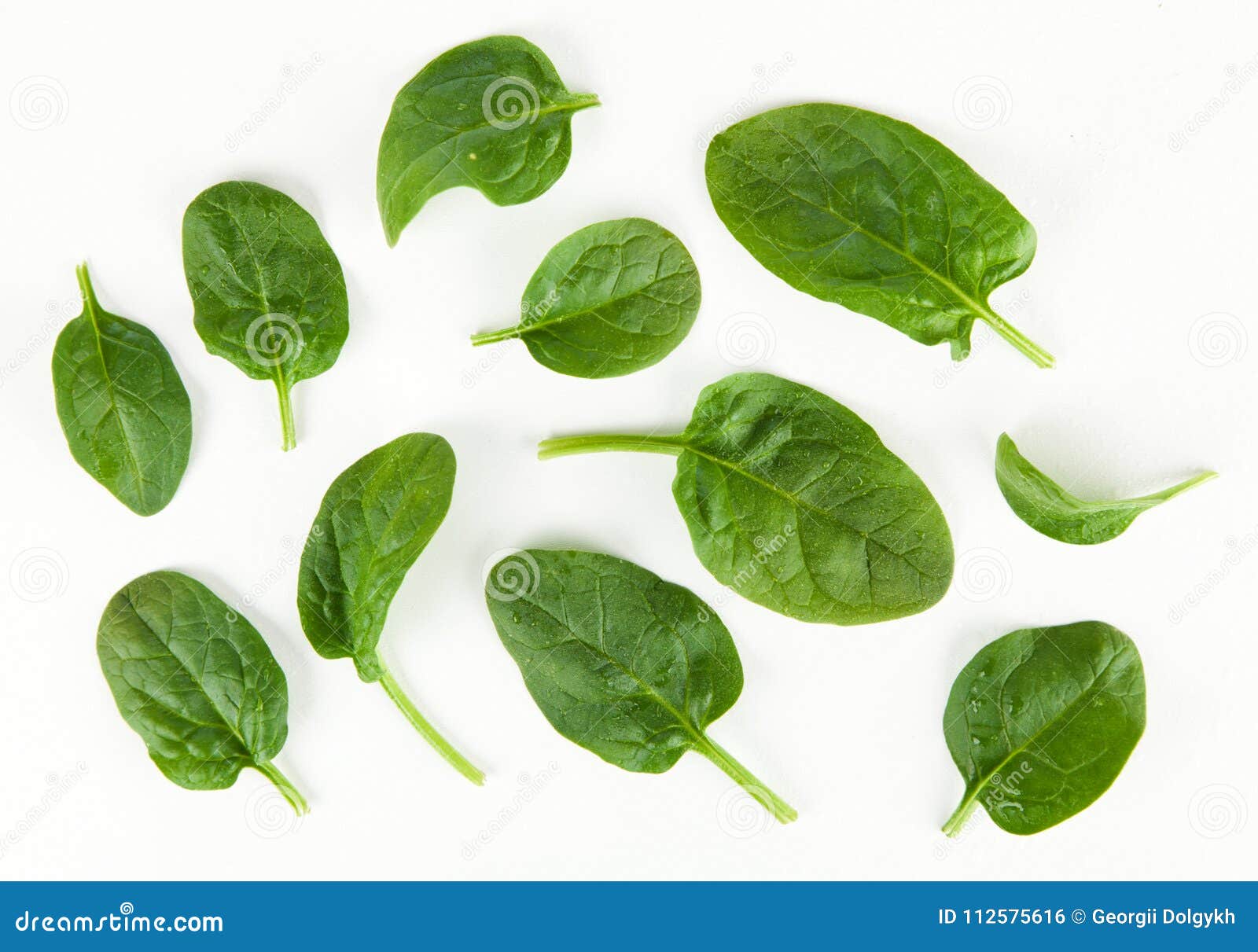 Baby spinach leaves stock photo. Image of heap, ingredient - 112575616