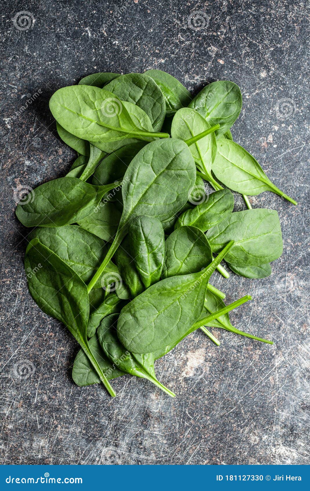 Baby spinach leaves stock photo. Image of freshness - 181127330