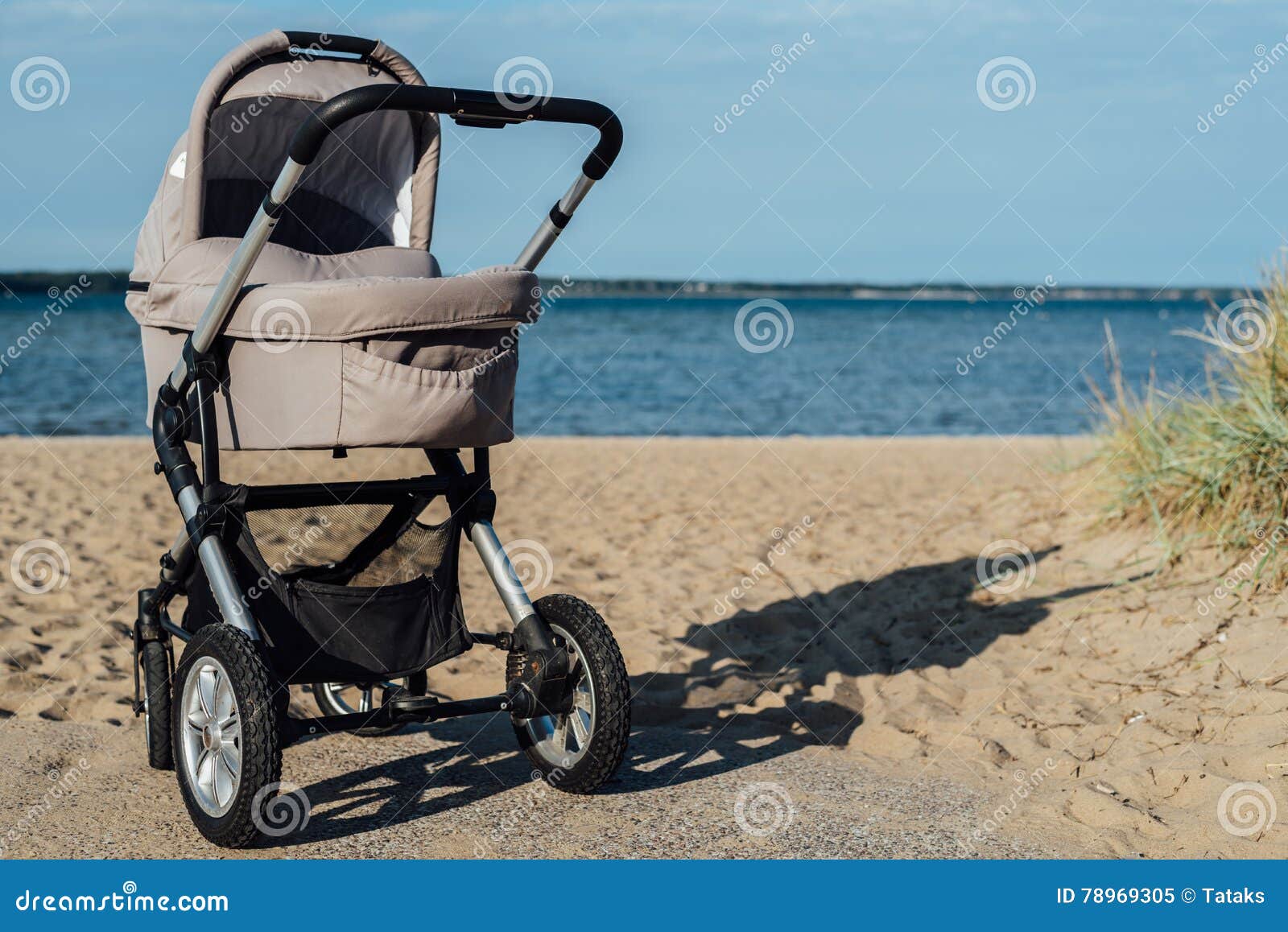 beach baby buggy